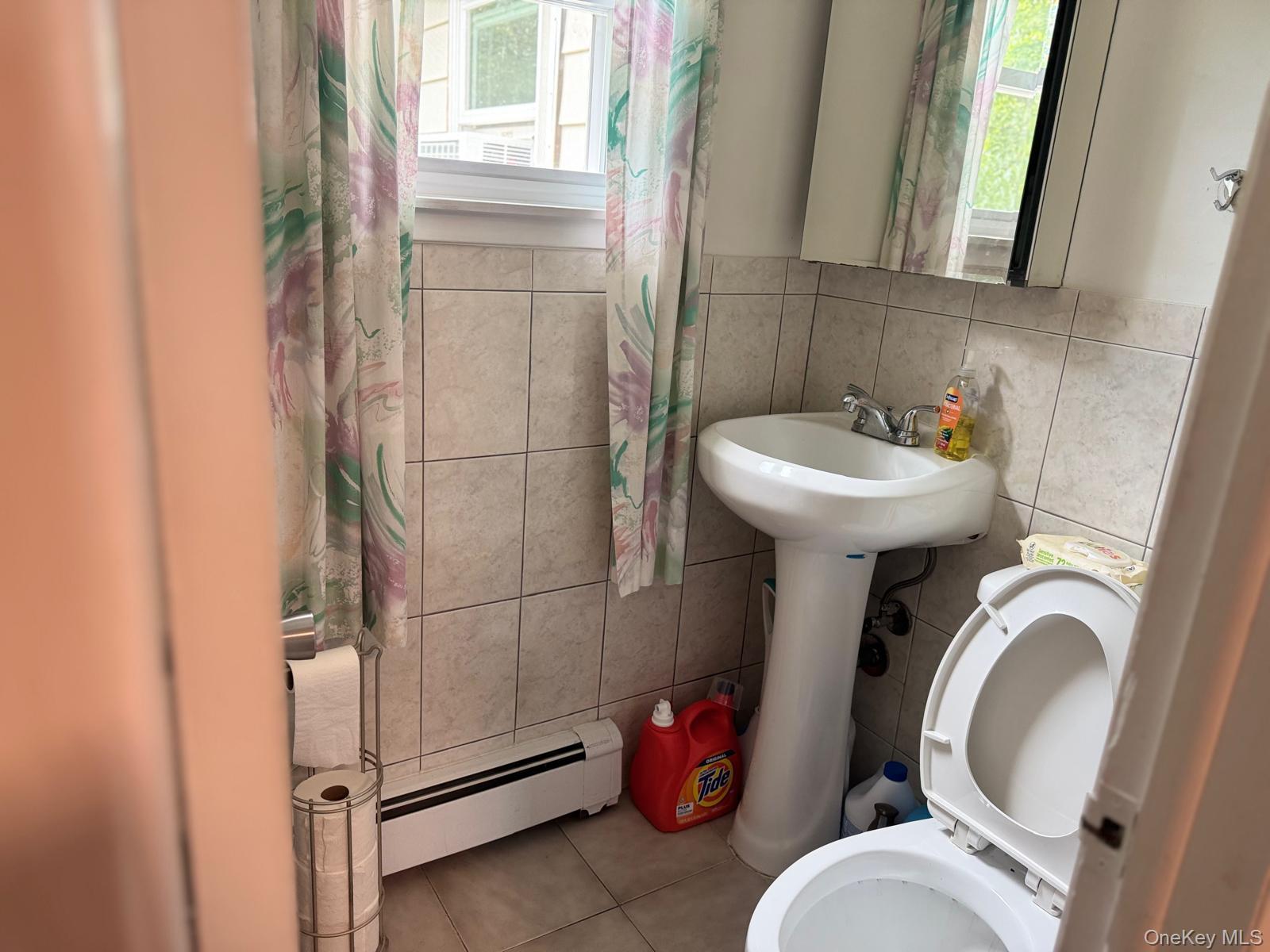 Single Family Birch Avenue Suffolk County, NY 11738, MLS-1020644-10