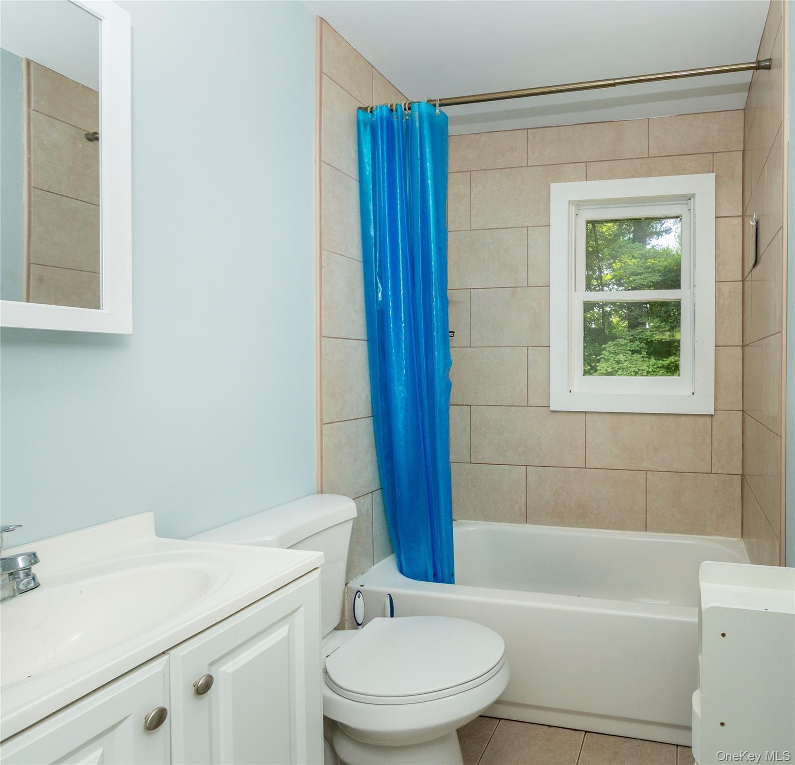 Single Family Birch Terrace Dutchess County, NY 12564, MLS-1020651-24