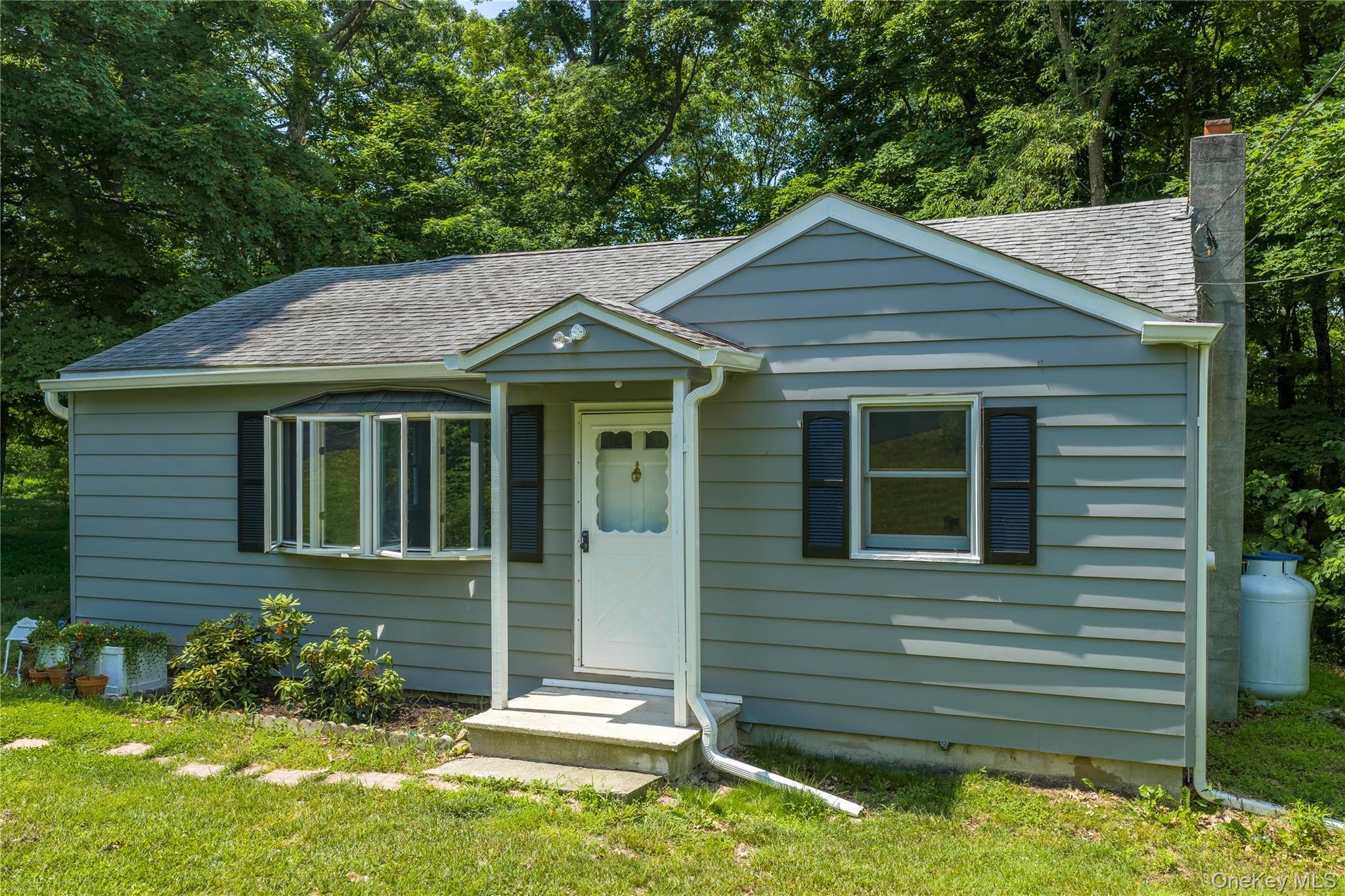 Single Family Birch Terrace Dutchess County, NY 12564, MLS-1020651-4