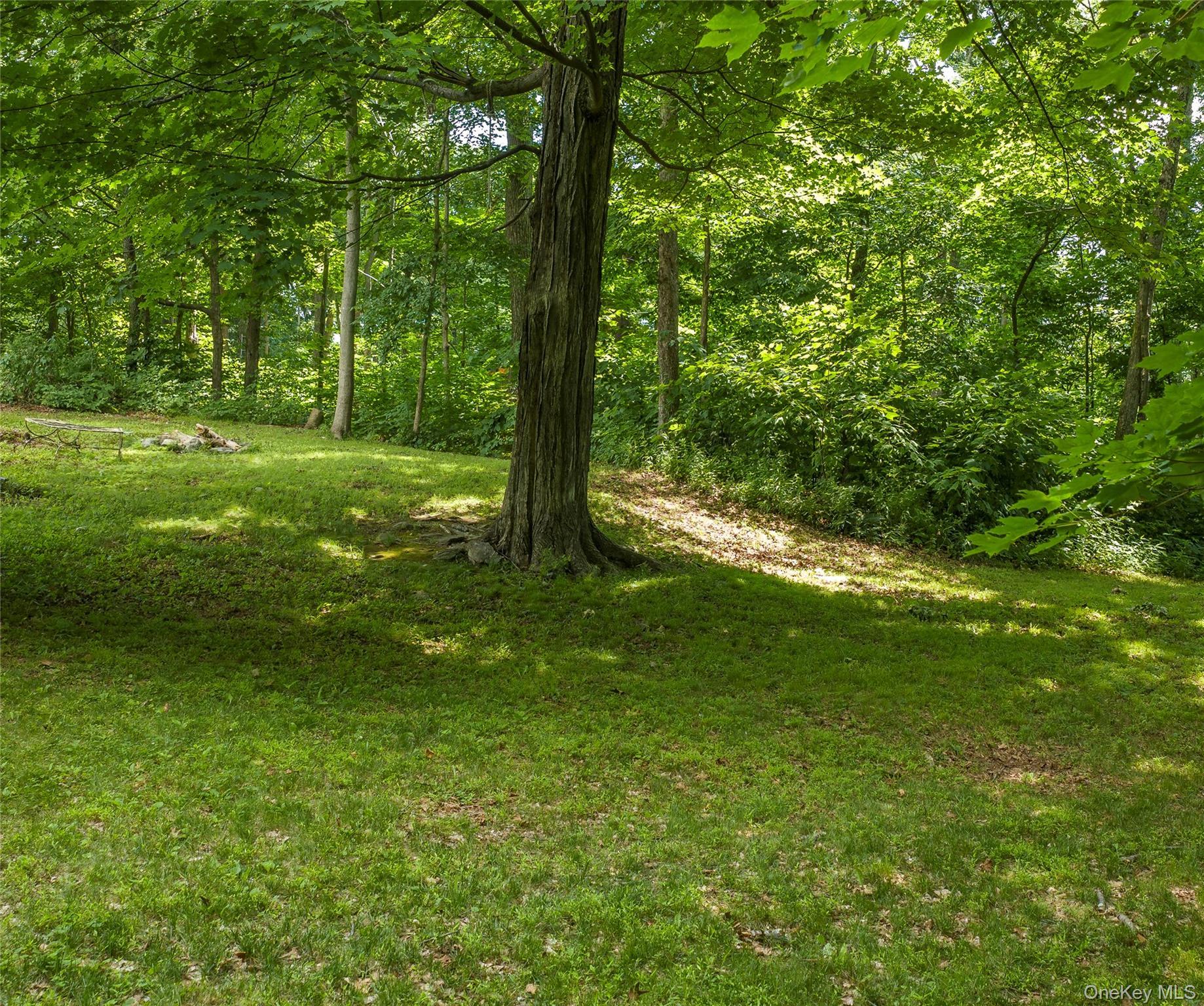 Single Family Birch Terrace Dutchess County, NY 12564, MLS-1020651-8