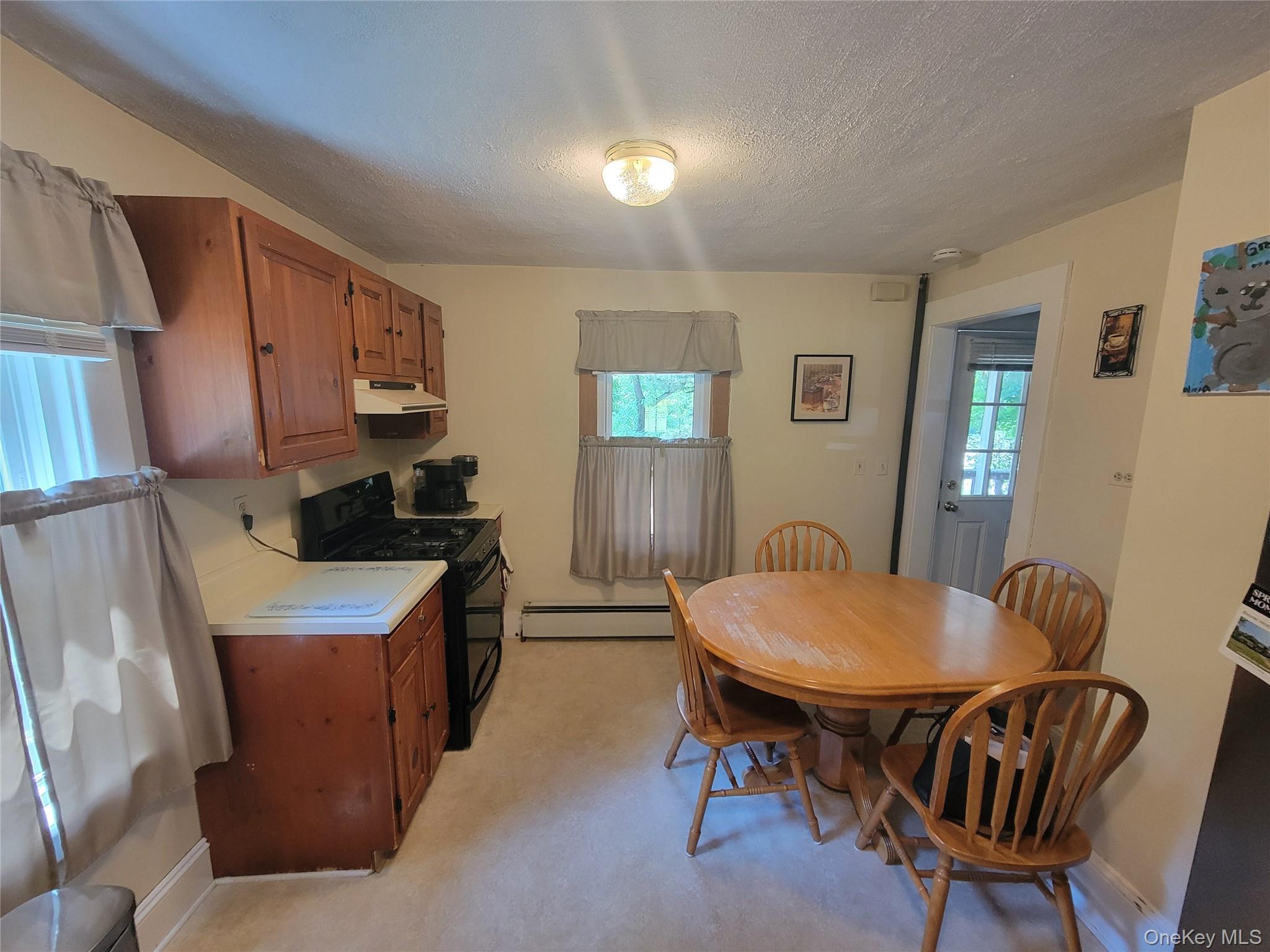 Single Family Albertson Road Ulster County, NY 12542, MLS-1020679-16
