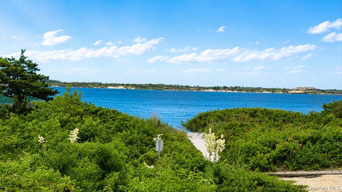 Single Family Circle Drive Suffolk County, NY 11702, MLS-1020694-2