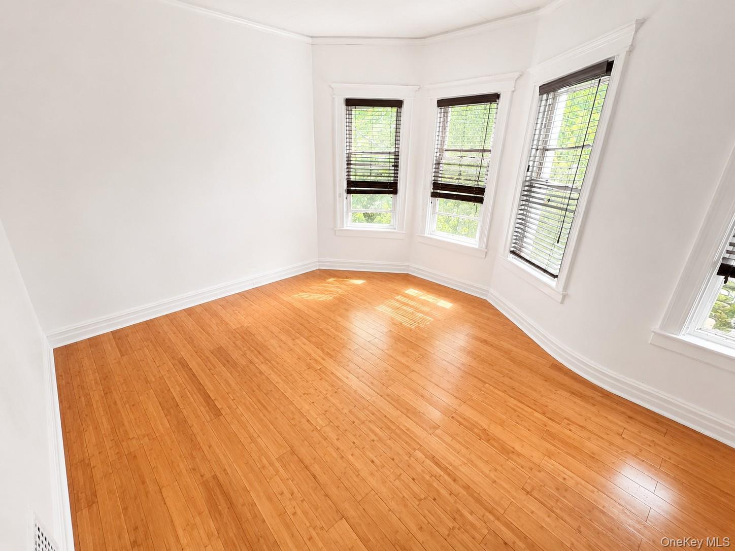 Apartment 85th Drive  Queens, NY 11421, MLS-1020708-5