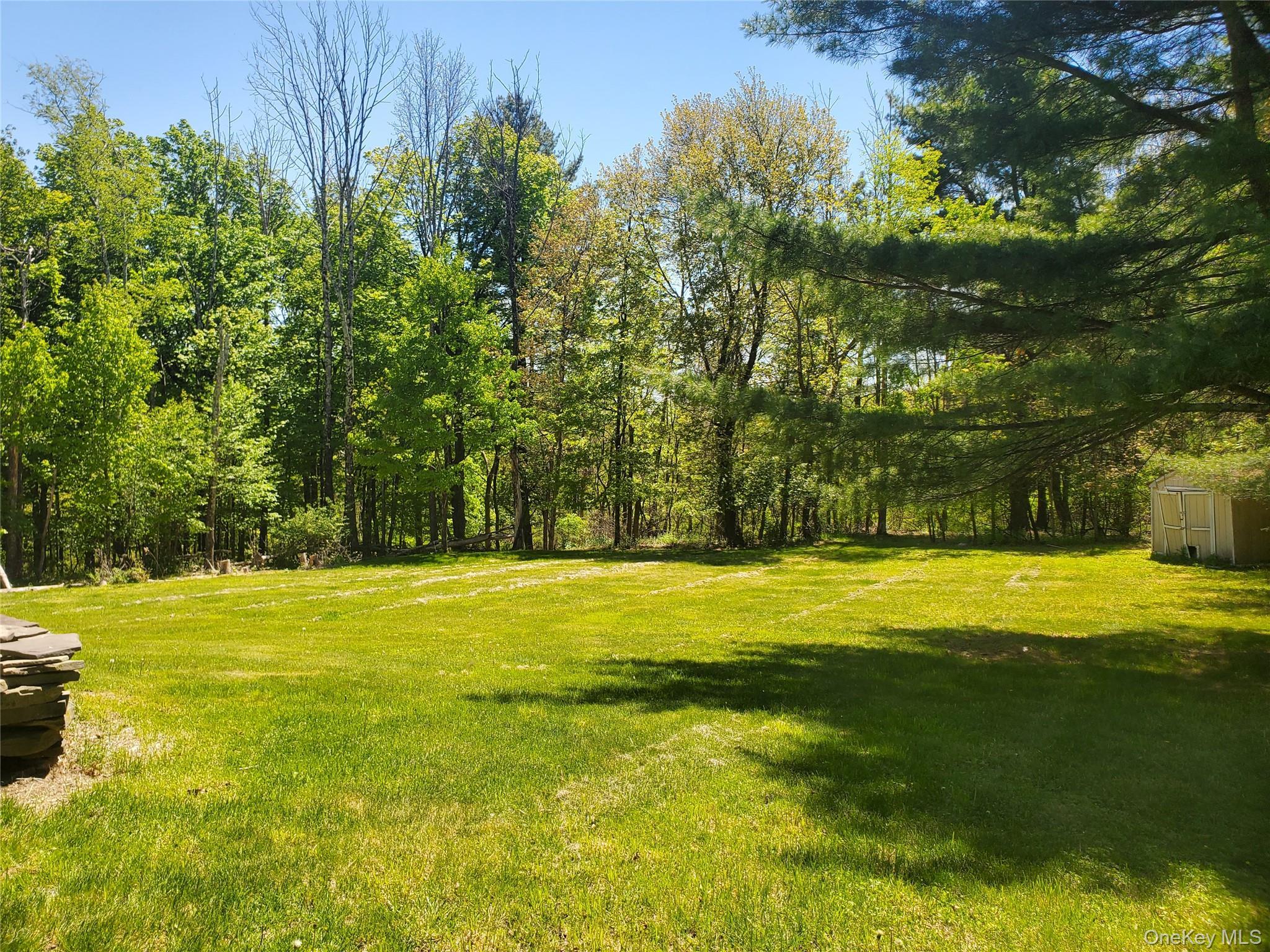 Single Family Fire Tower Road Sullivan County, NY 12721, MLS-1020717-3