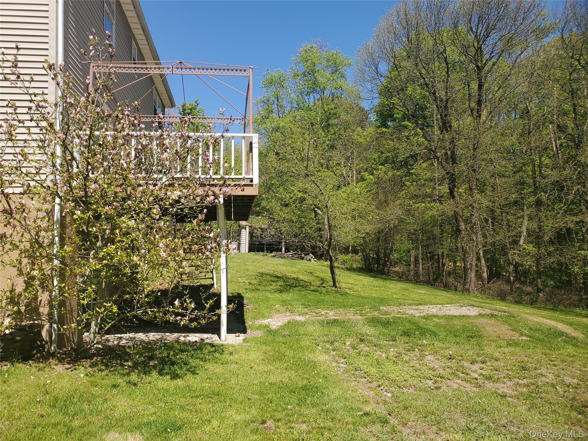 Single Family Fire Tower Road Sullivan County, NY 12721, MLS-1020717-6