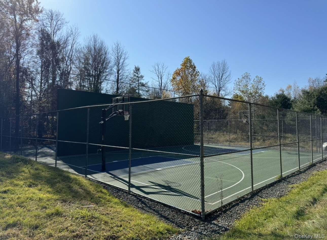 Single Family Sylvia Lane Sullivan County, NY 12701, MLS-1020730-3