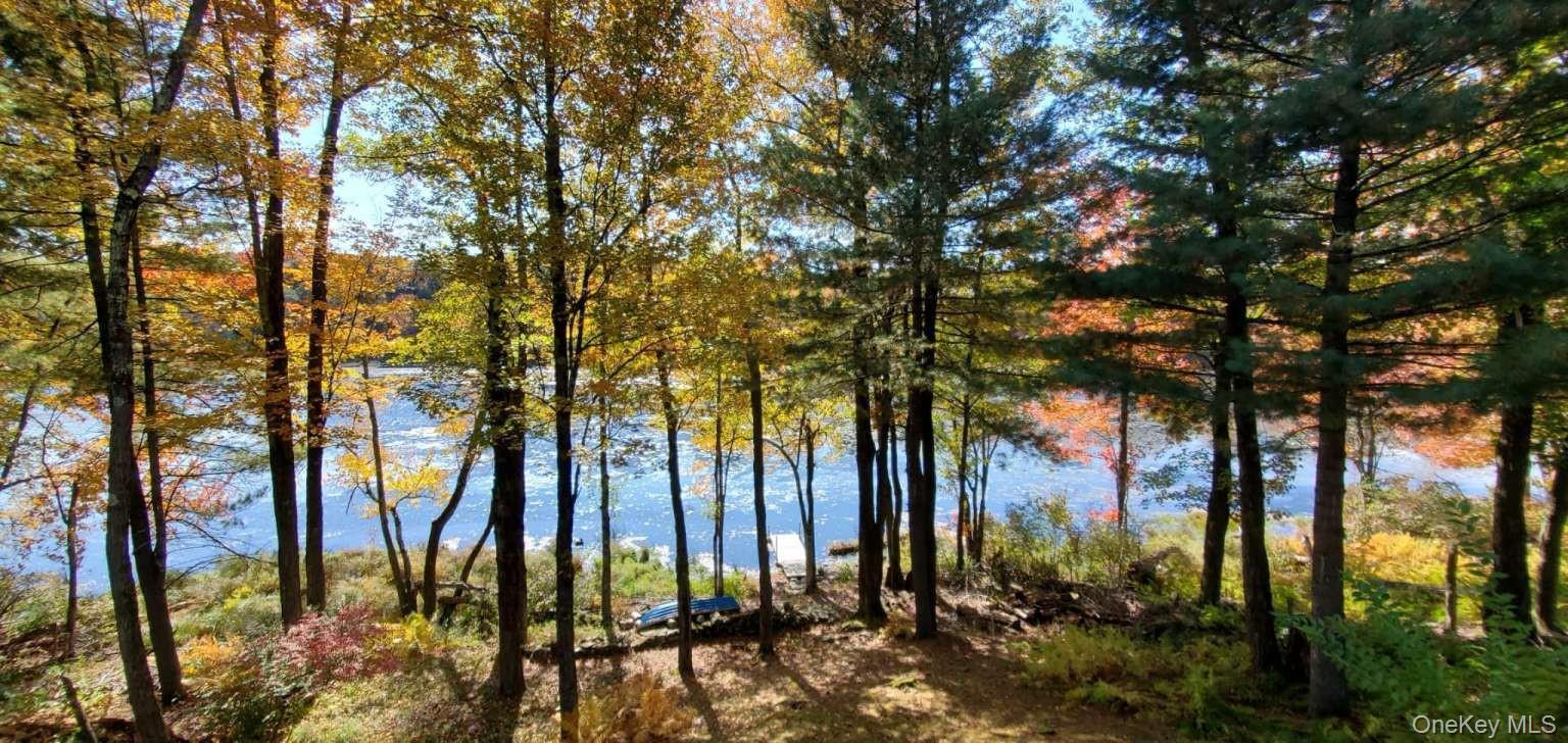 Single Family Sylvia Lane  Sullivan County, NY 12701, MLS-1020730-6