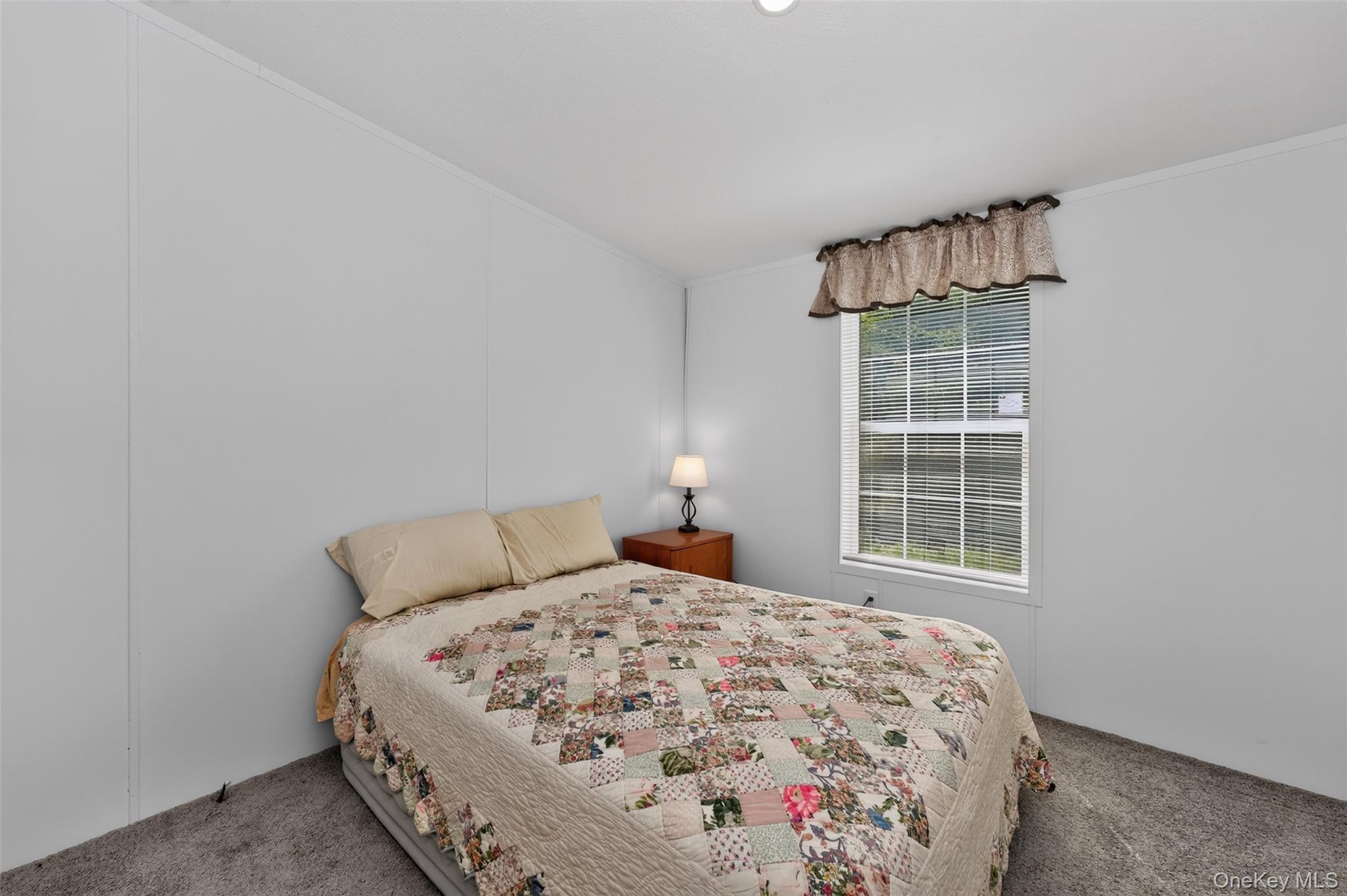 Single Family County Route 354 Albany County, NY 12469, MLS-1020737-19