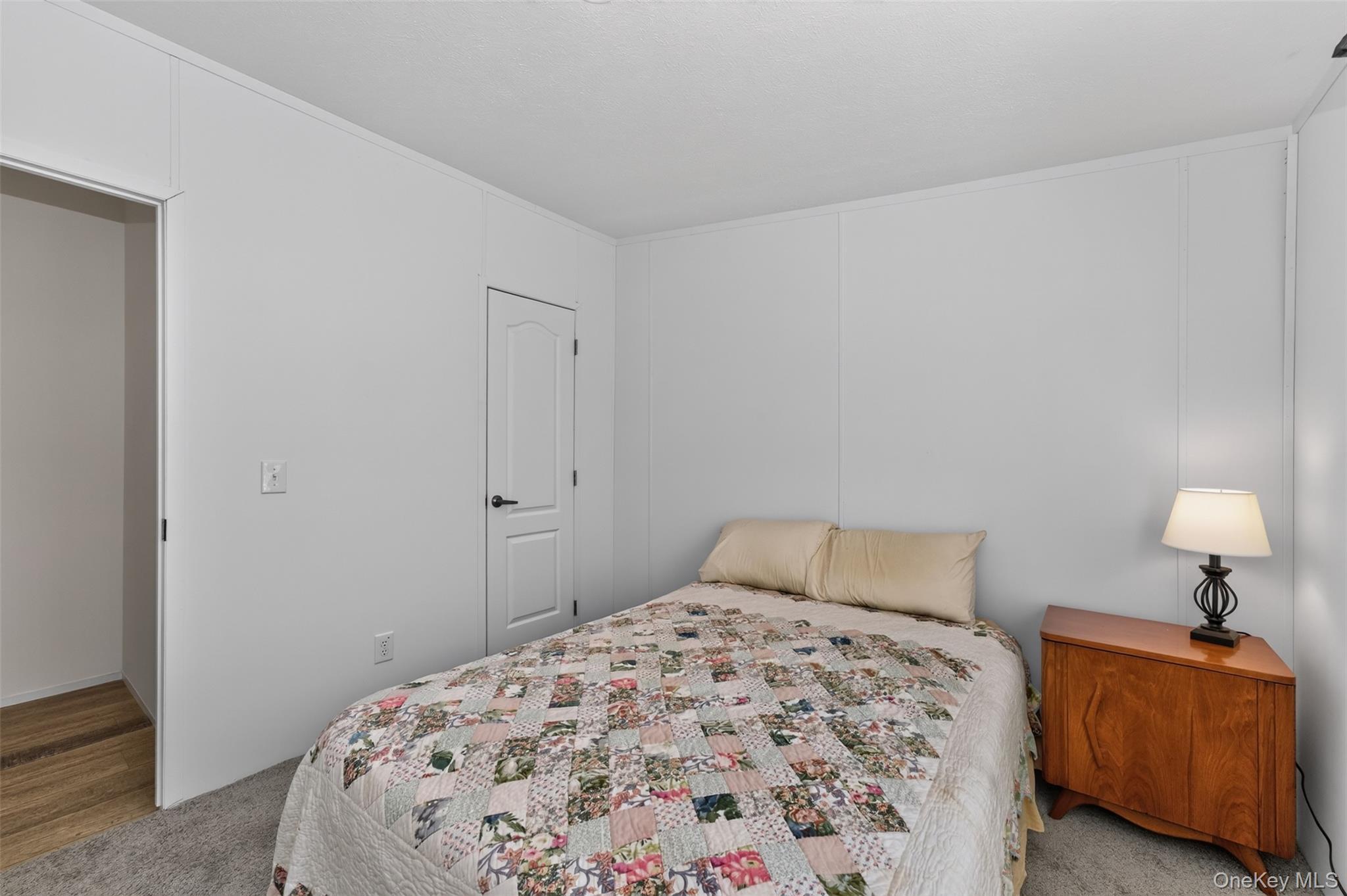 Single Family County Route 354 Albany County, NY 12469, MLS-1020737-20