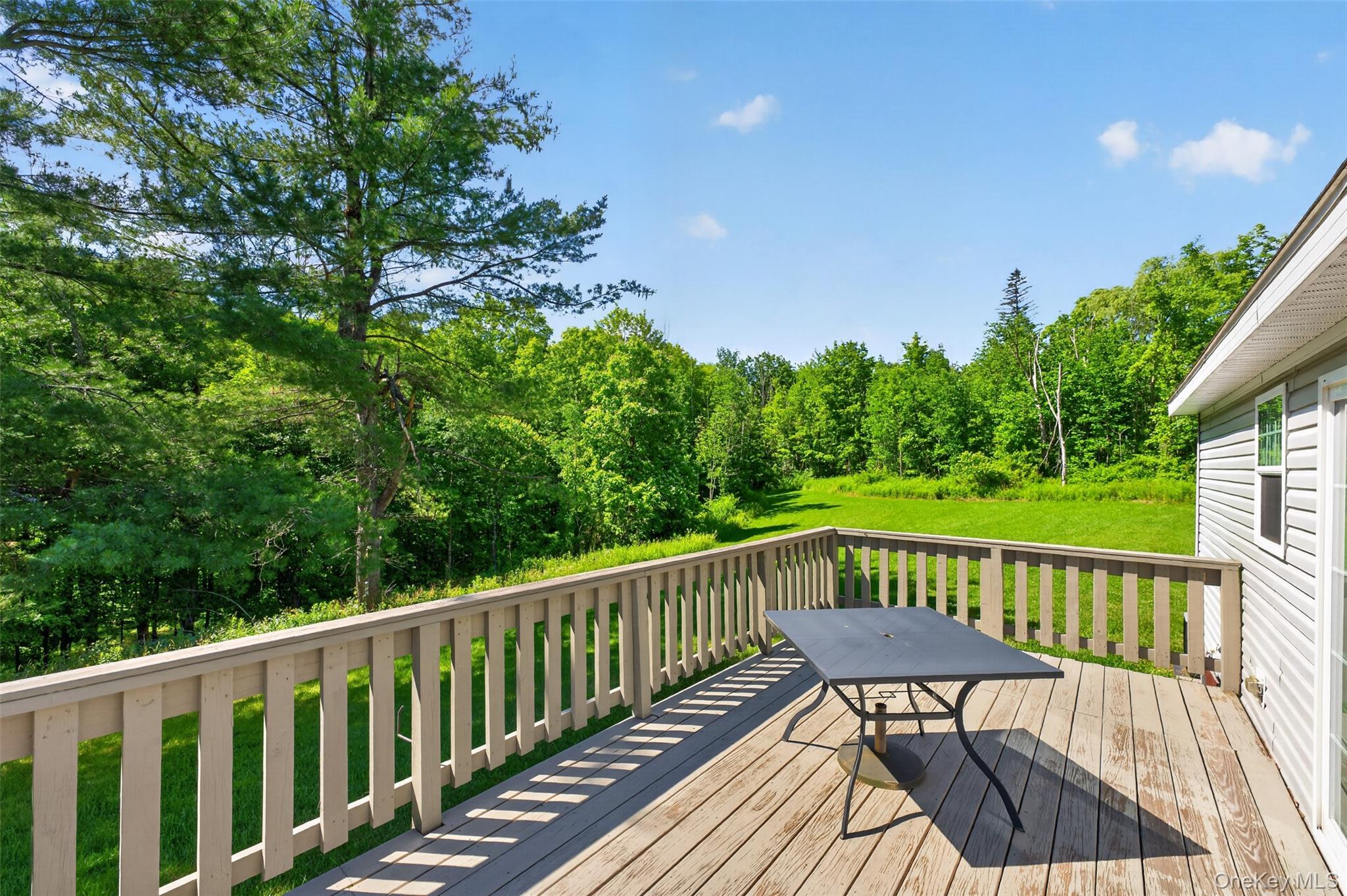 Single Family County Route 354 Albany County, NY 12469, MLS-1020737-25