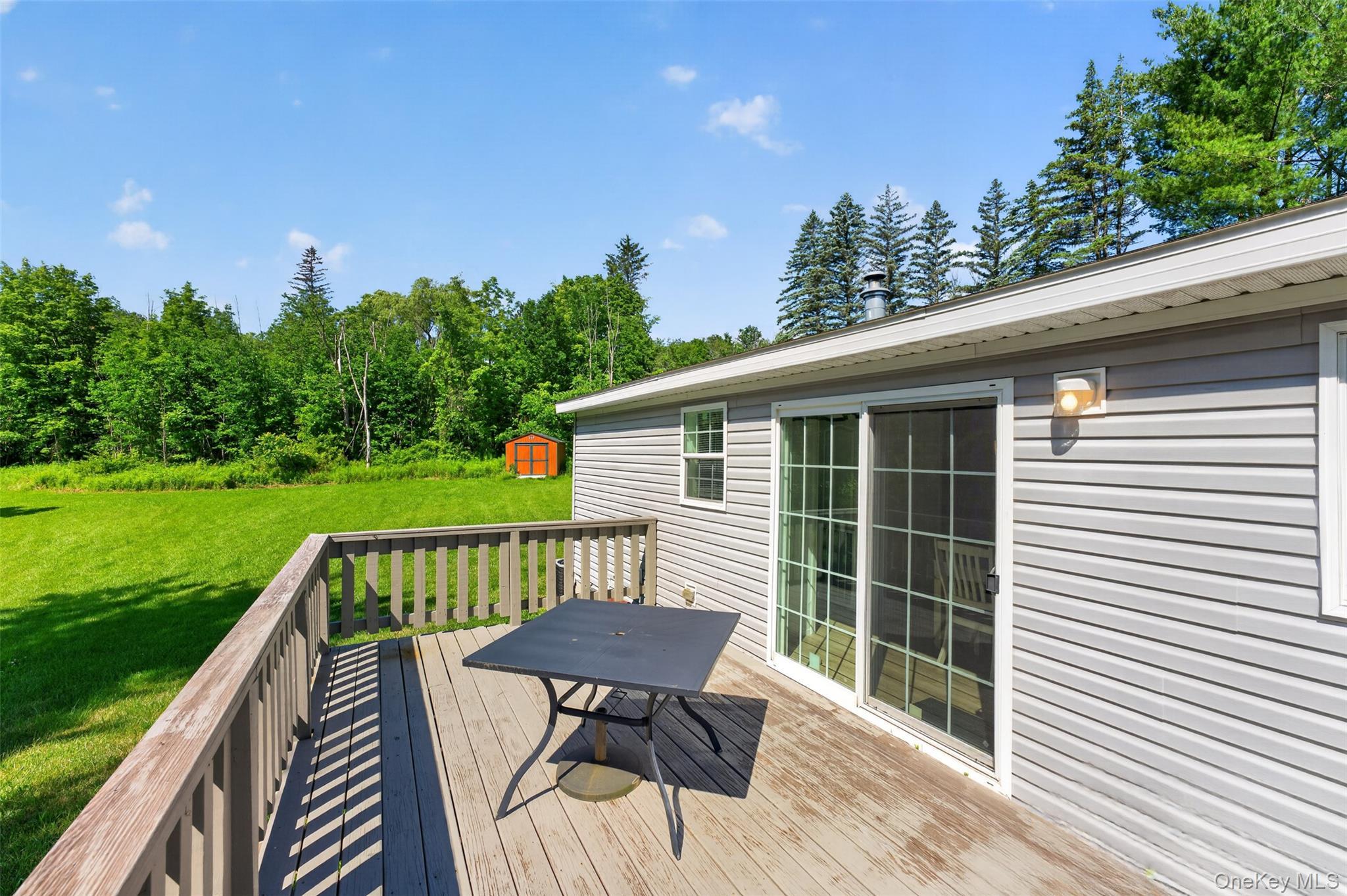 Single Family County Route 354 Albany County, NY 12469, MLS-1020737-26