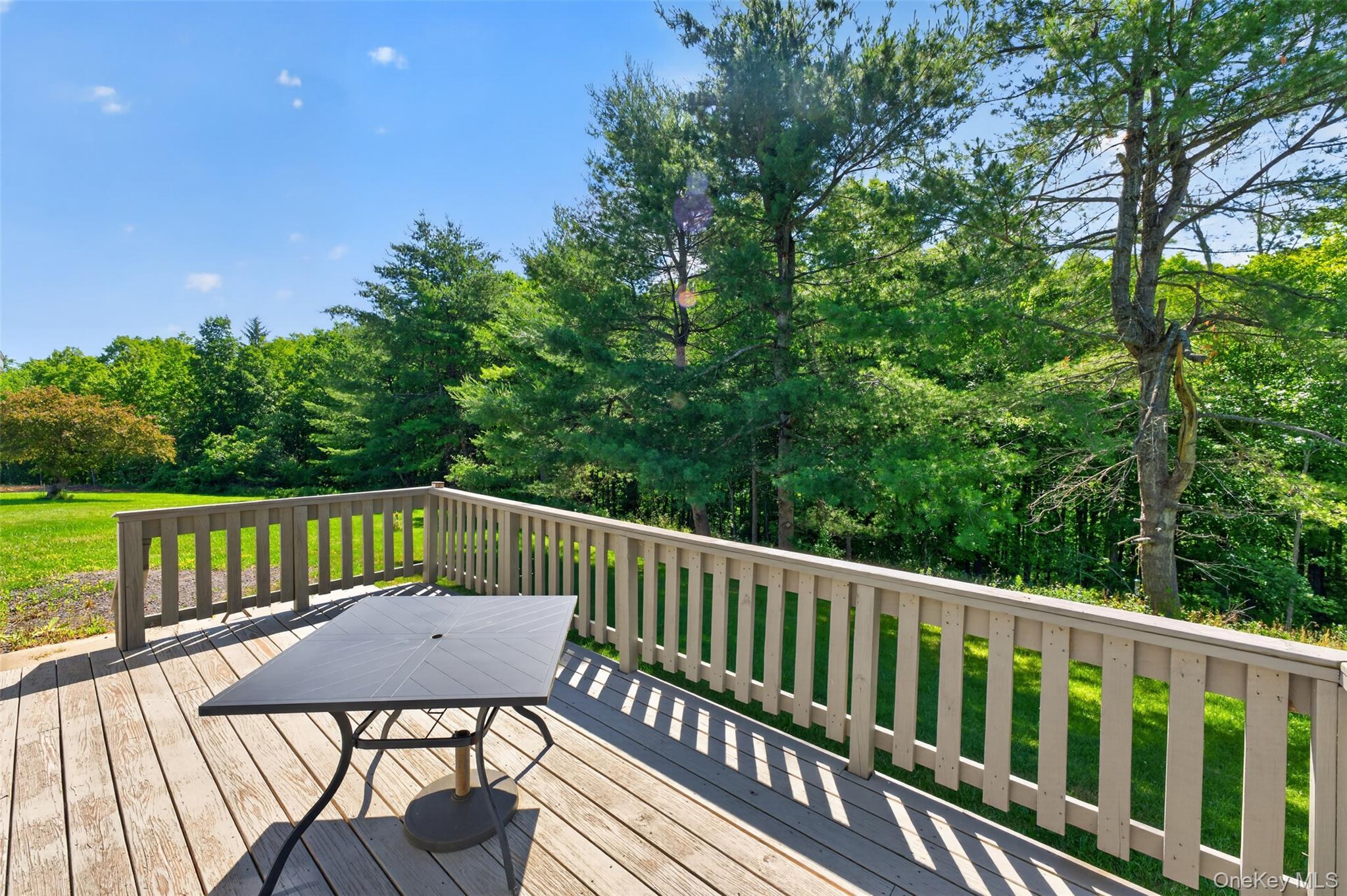 Single Family County Route 354 Albany County, NY 12469, MLS-1020737-27