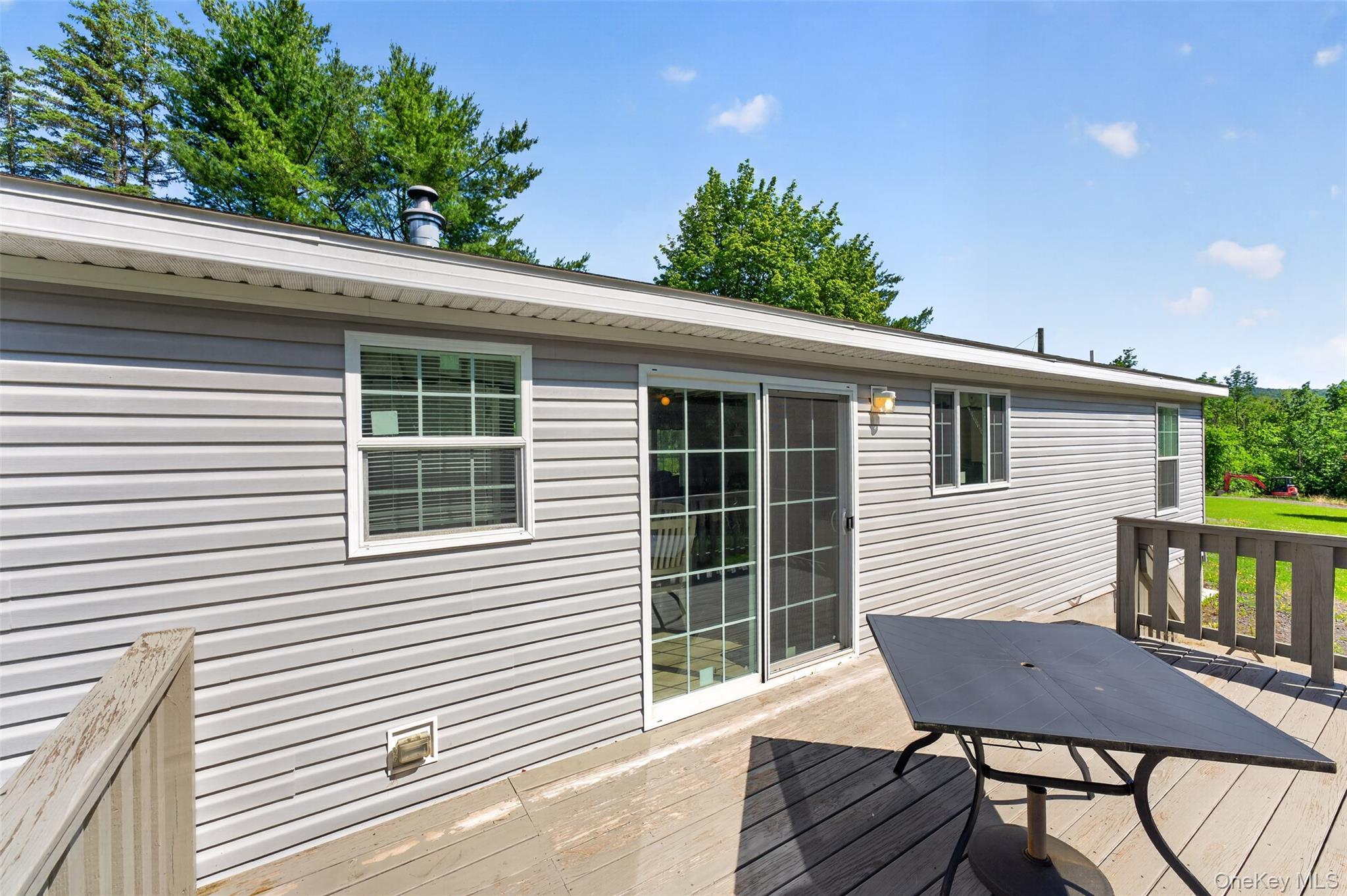 Single Family County Route 354 Albany County, NY 12469, MLS-1020737-28