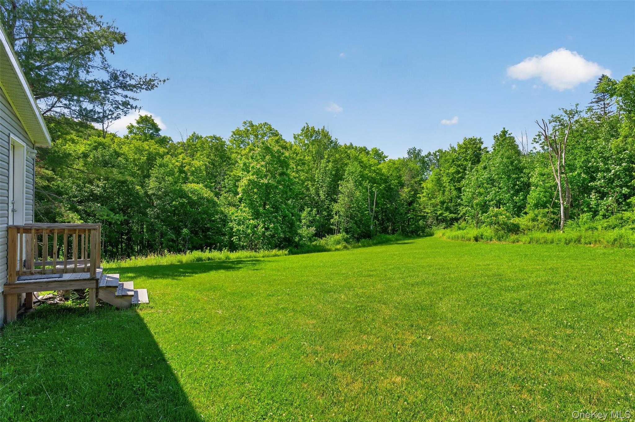 Single Family County Route 354 Albany County, NY 12469, MLS-1020737-29