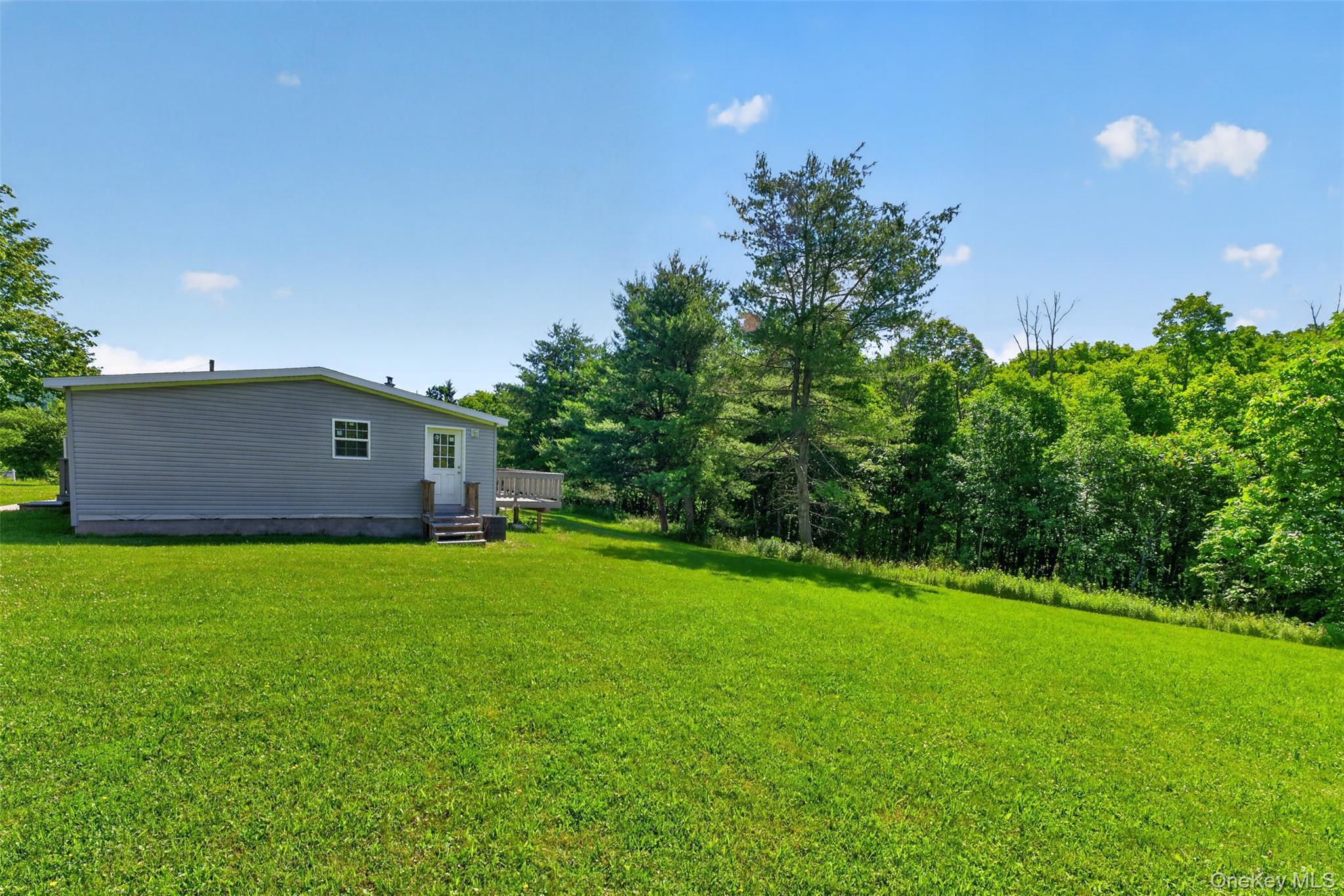 Single Family County Route 354 Albany County, NY 12469, MLS-1020737-30