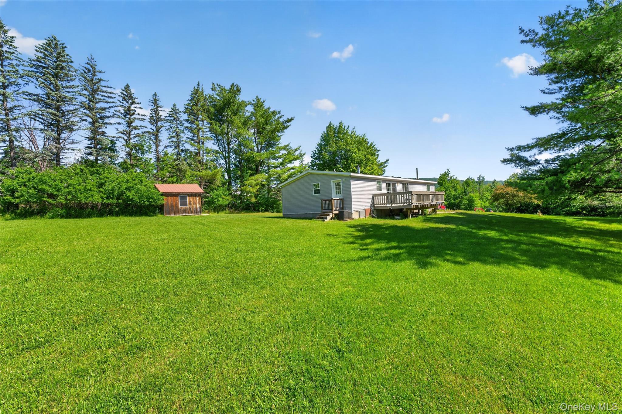 Single Family County Route 354 Albany County, NY 12469, MLS-1020737-31