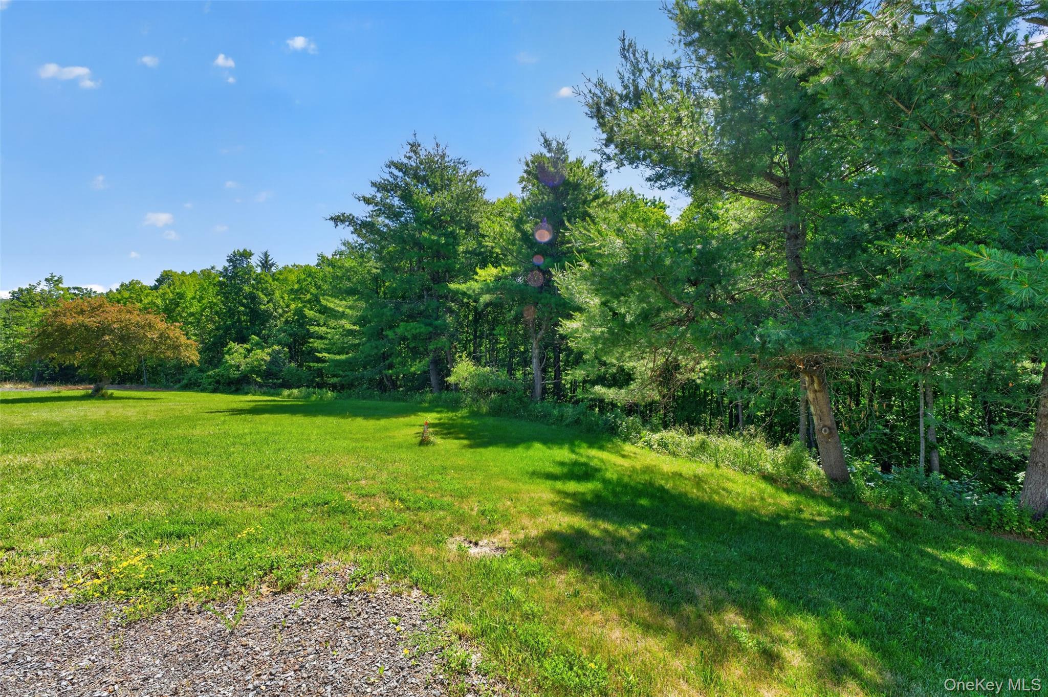 Single Family County Route 354 Albany County, NY 12469, MLS-1020737-32