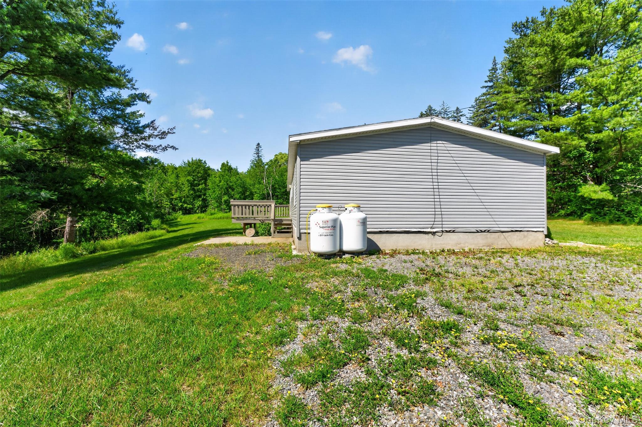 Single Family County Route 354 Albany County, NY 12469, MLS-1020737-33