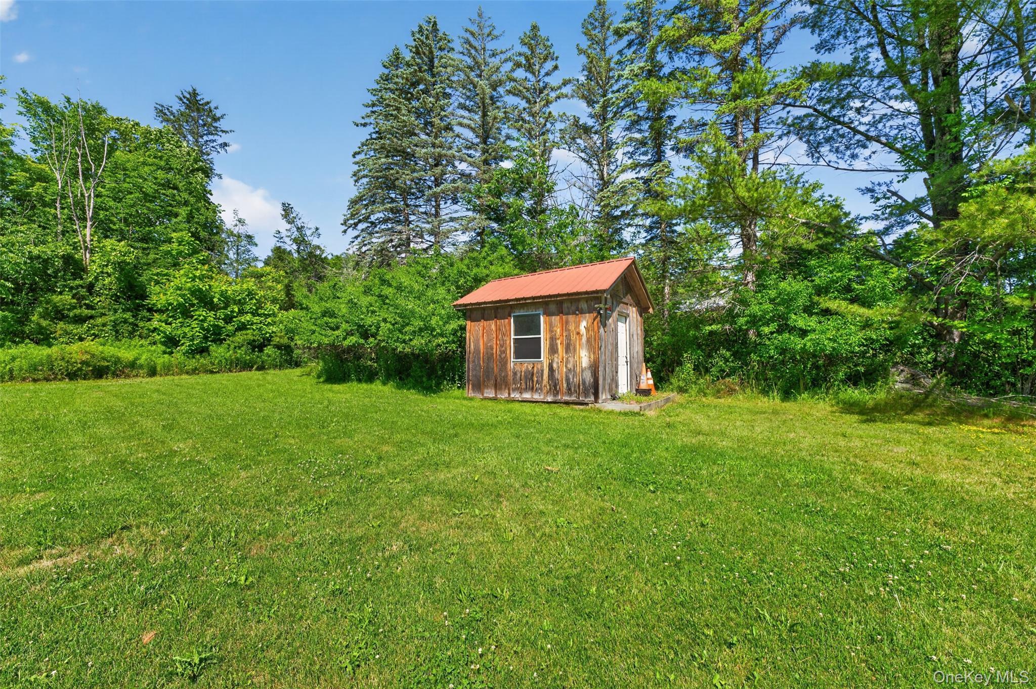 Single Family County Route 354 Albany County, NY 12469, MLS-1020737-34