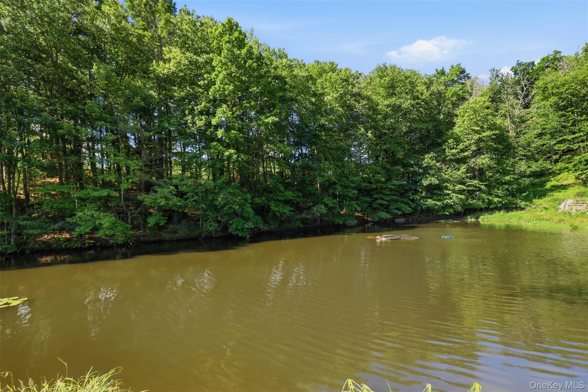 Single Family Buena Vista Point  Sullivan County, NY 12737, MLS-1020749-49