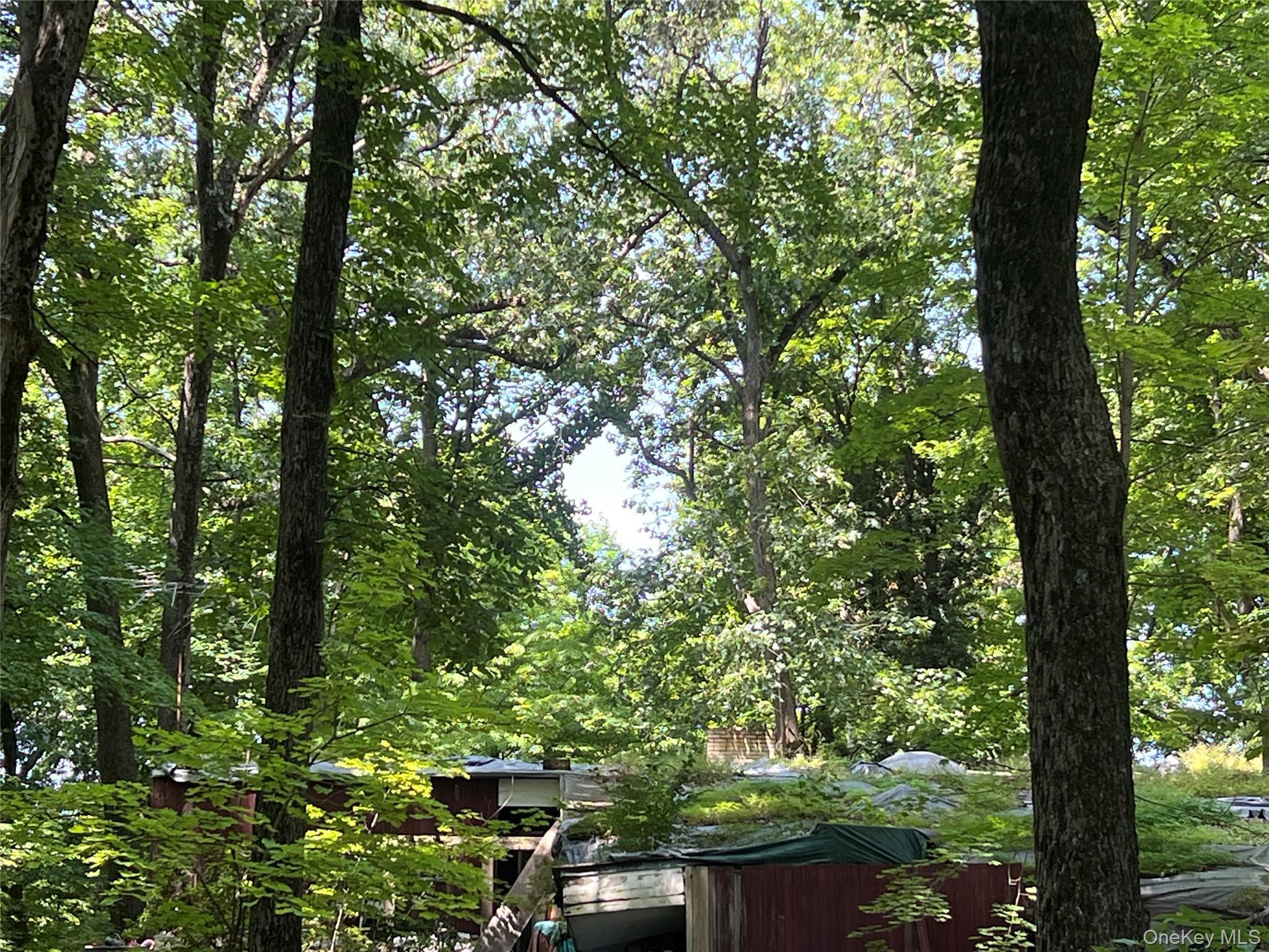 Single Family Hornbeck Ridge Dutchess County, NY 12603, MLS-1020779-2