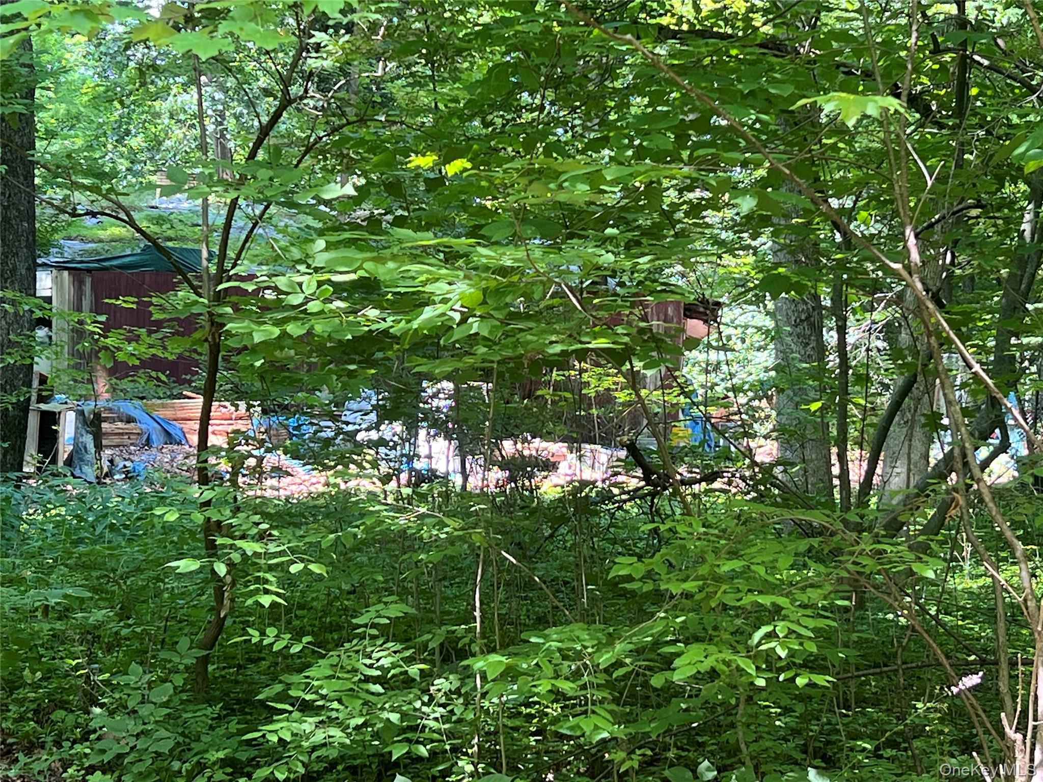 Single Family Hornbeck Ridge Dutchess County, NY 12603, MLS-1020779-3
