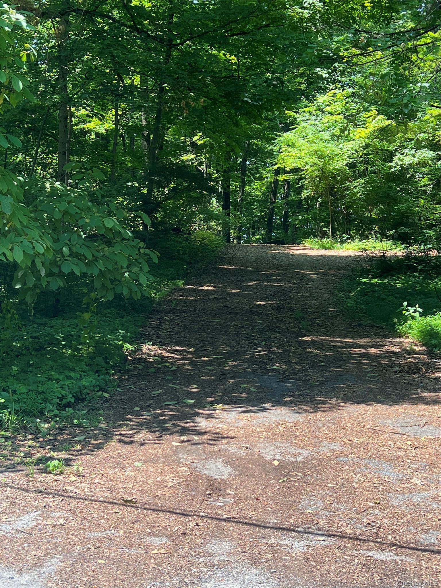 Single Family Hornbeck Ridge Dutchess County, NY 12603, MLS-1020779-5