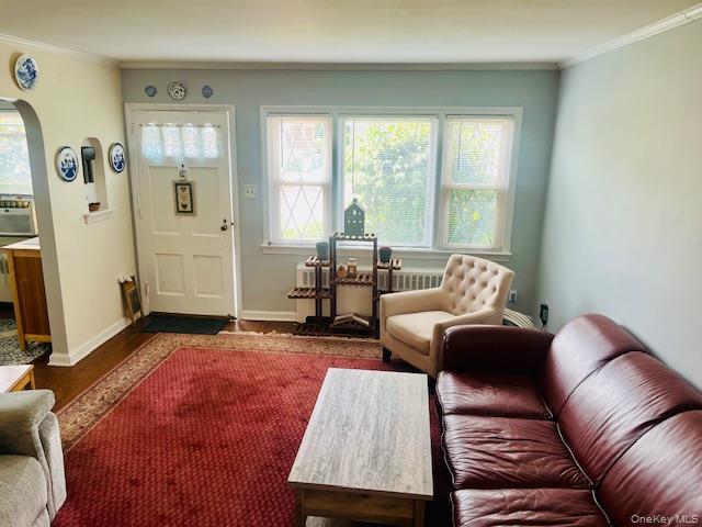 Single Family Musket Street Queens, NY 11427, MLS-1020794-2