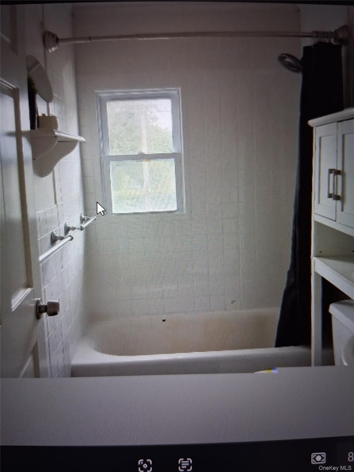 Single Family Chestnut Street Orange County, NY 12550, MLS-1020821-12