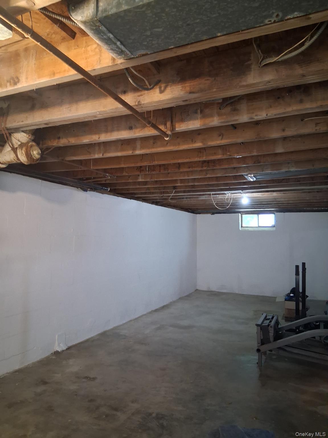 Single Family Chestnut Street Orange County, NY 12550, MLS-1020821-13