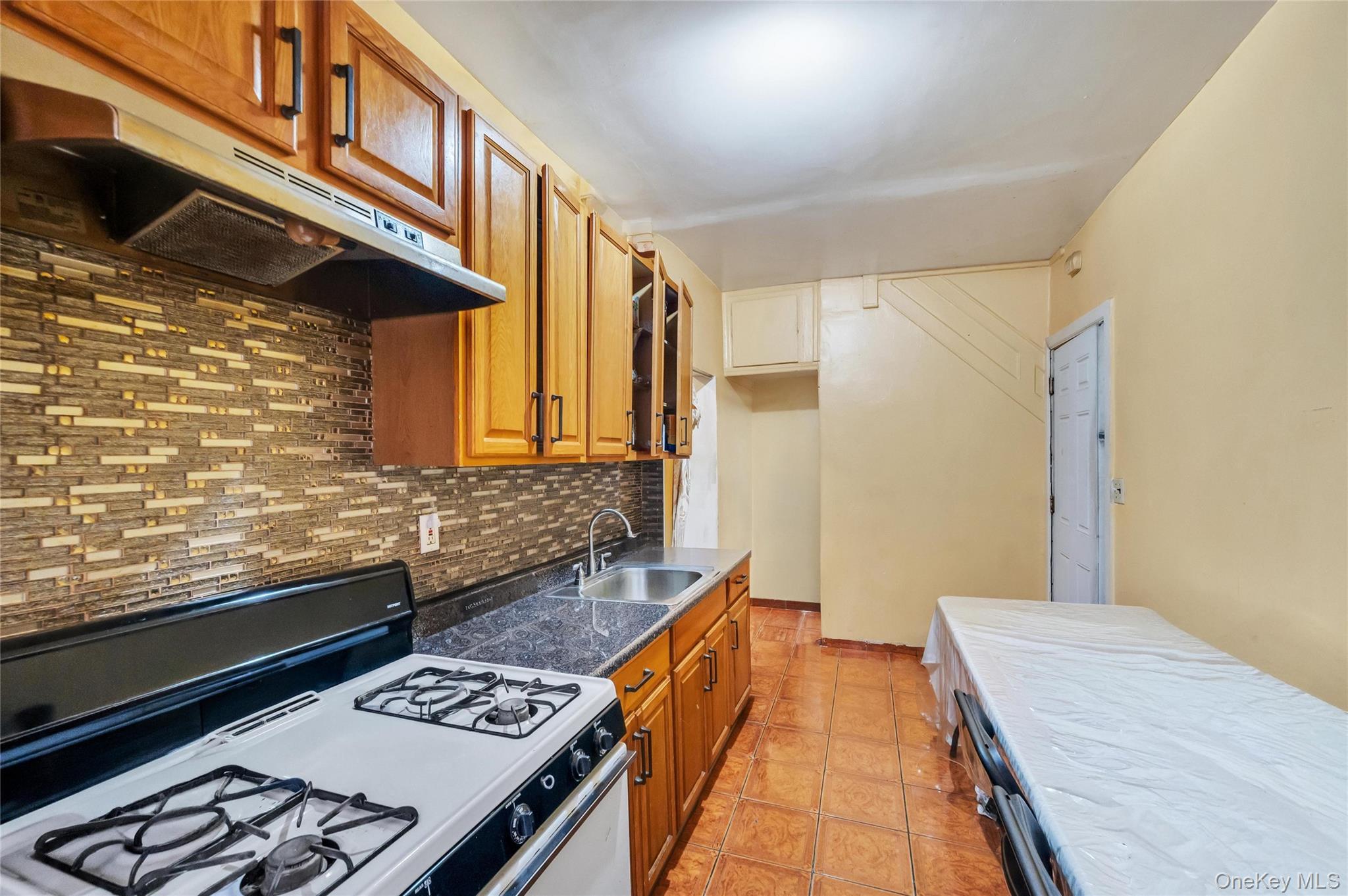Single Family Midwood St Brooklyn, NY 11203, MLS-1020837-11