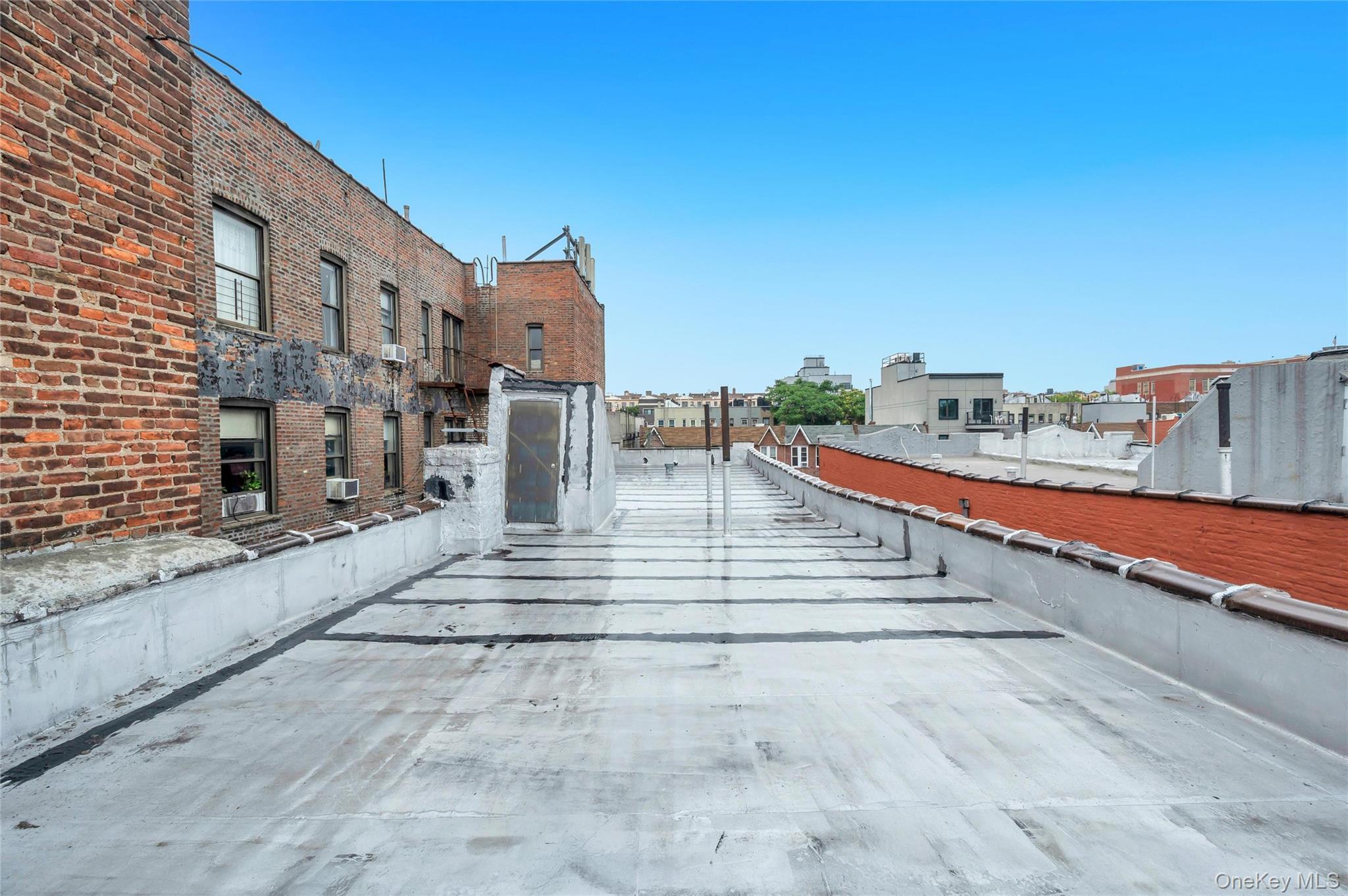 Single Family Midwood St Brooklyn, NY 11203, MLS-1020837-25
