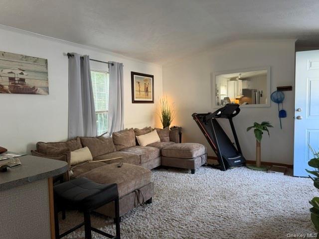 Single Family Speonk Riverhead Road Suffolk County, NY 11972, MLS-1020838-8