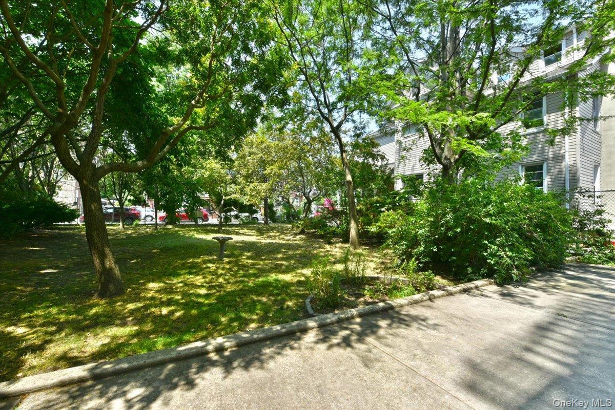 Coop E 19th Street  Brooklyn, NY 11235, MLS-1020883-28