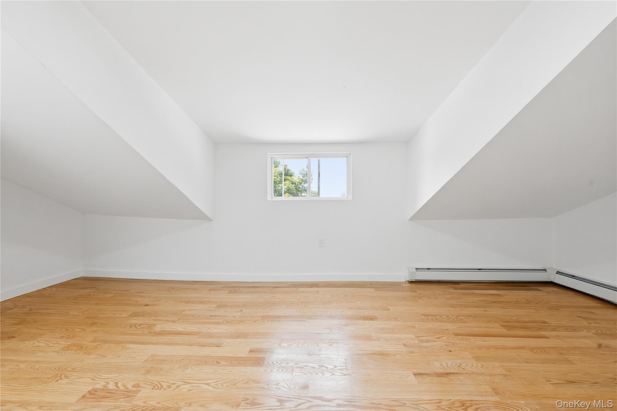 Single Family 119th Road Queens, NY 11434, MLS-1020904-16