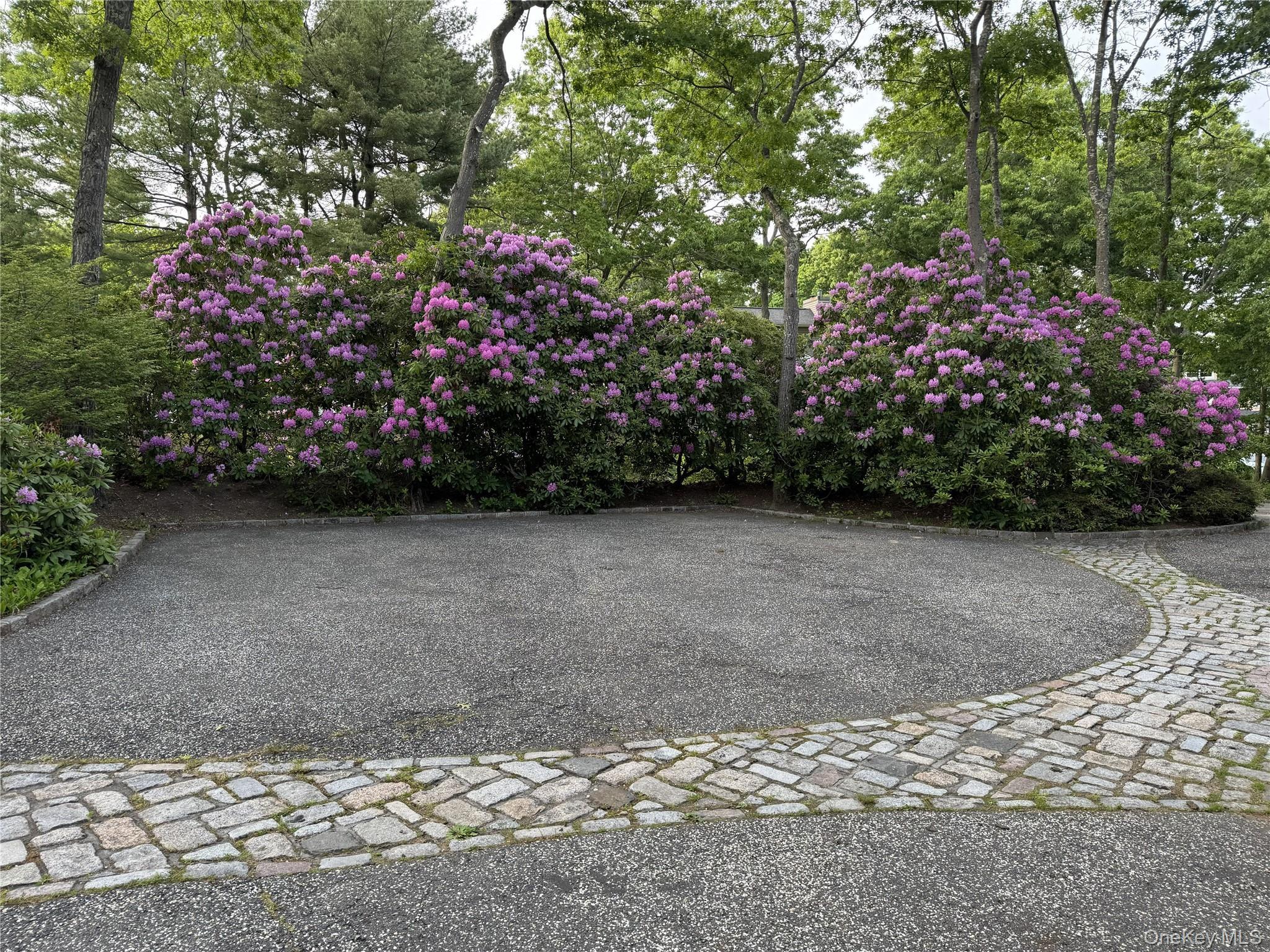 Single Family Nicole Court  Suffolk County, NY 11949, MLS-1020918-50