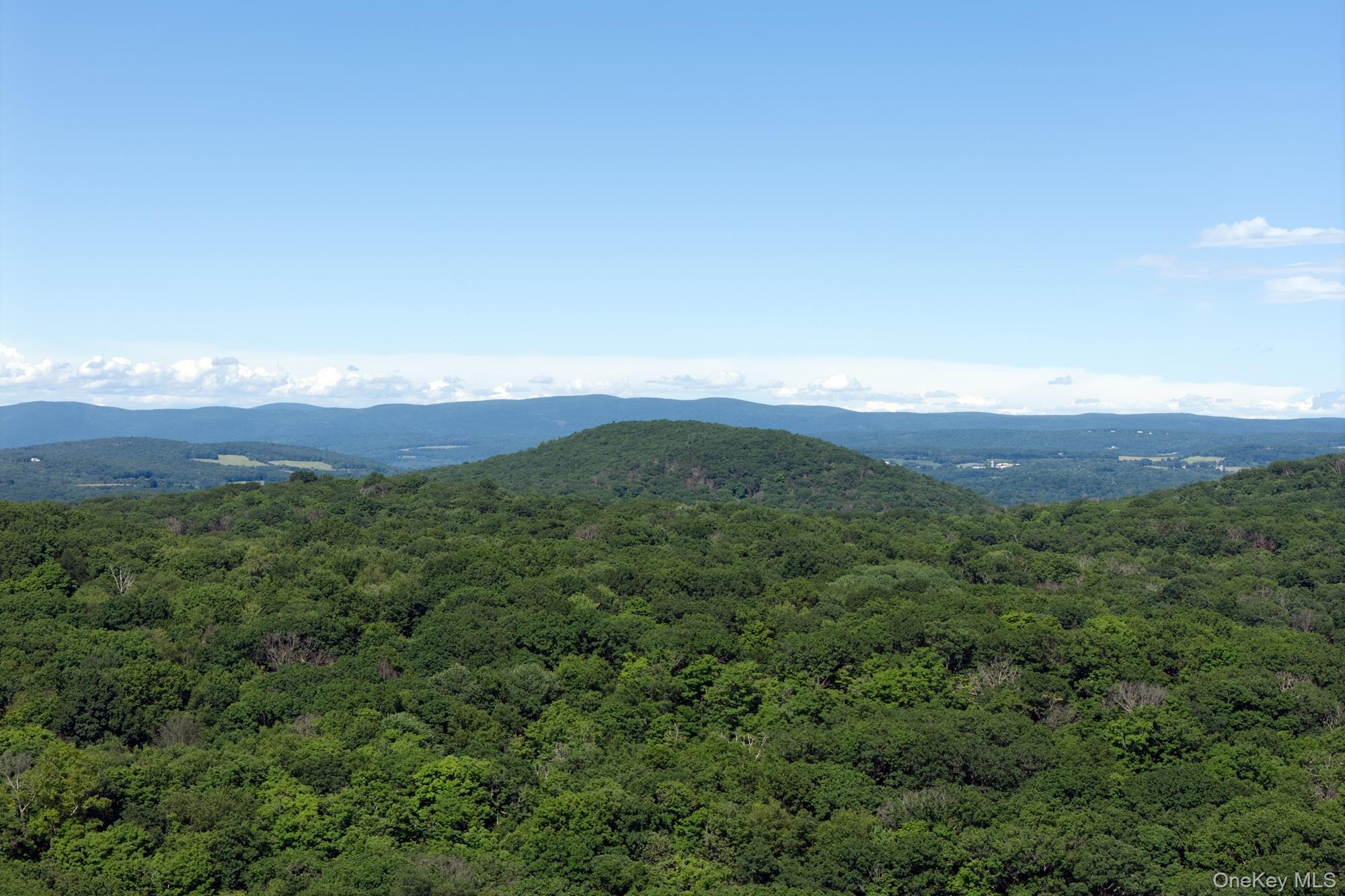 Single Family Hicks Hill Road Dutchess County, NY 12581, MLS-1020922-23