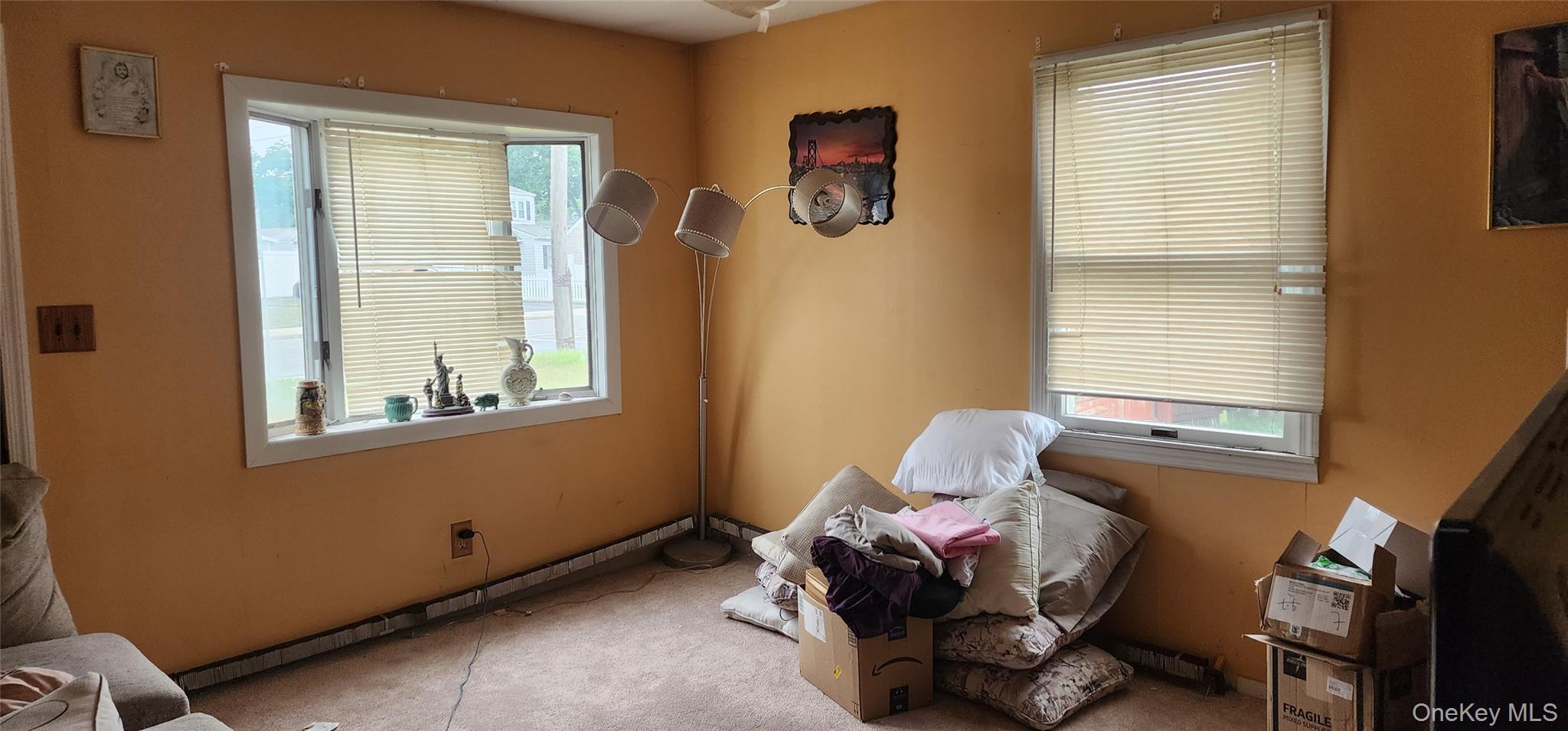 Single Family Commack Road  Suffolk County, NY 11703, MLS-1021019-5