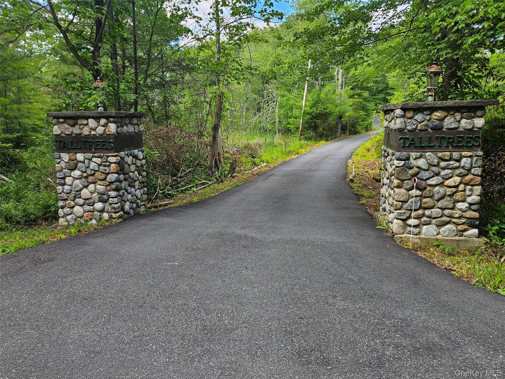 Single Family Clove Road  Out Of Area, NY 07827, MLS-1021031-47
