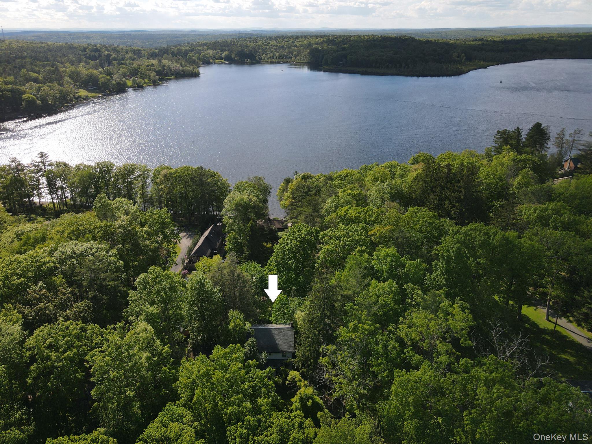 Single Family Lake View Drive Road Sullivan County, NY 12743, MLS-1021048-19