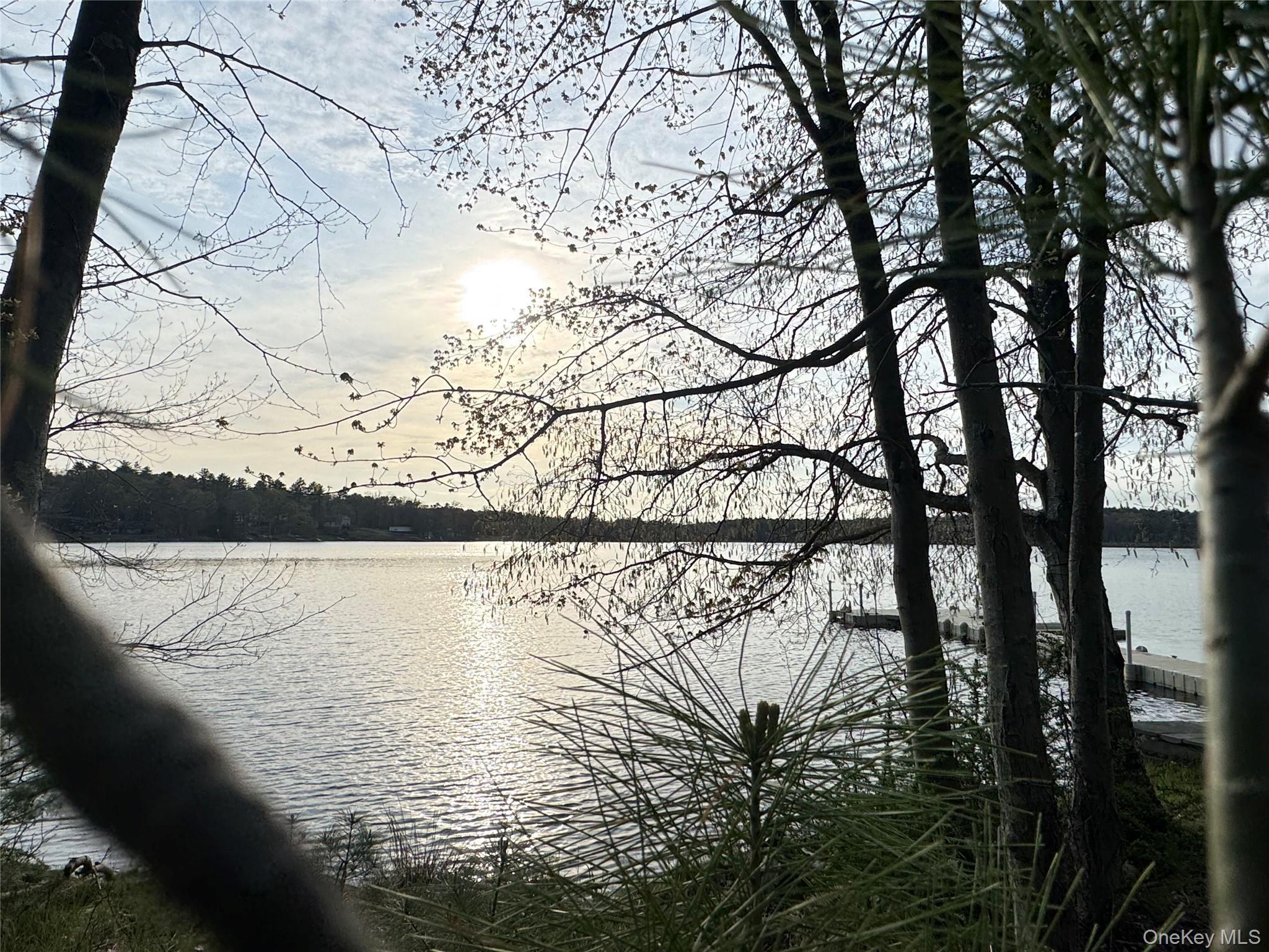 Single Family Lake View Drive Road  Sullivan County, NY 12743, MLS-1021048-20