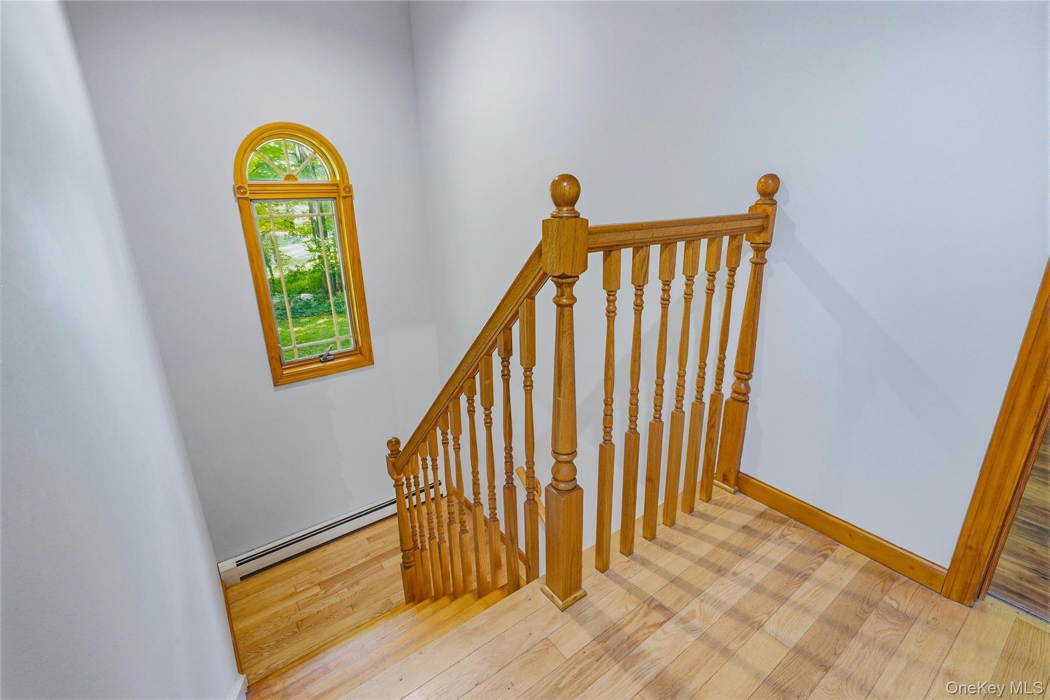 Single Family Nathan Hale Drive Dutchess County, NY 12582, MLS-1021059-22