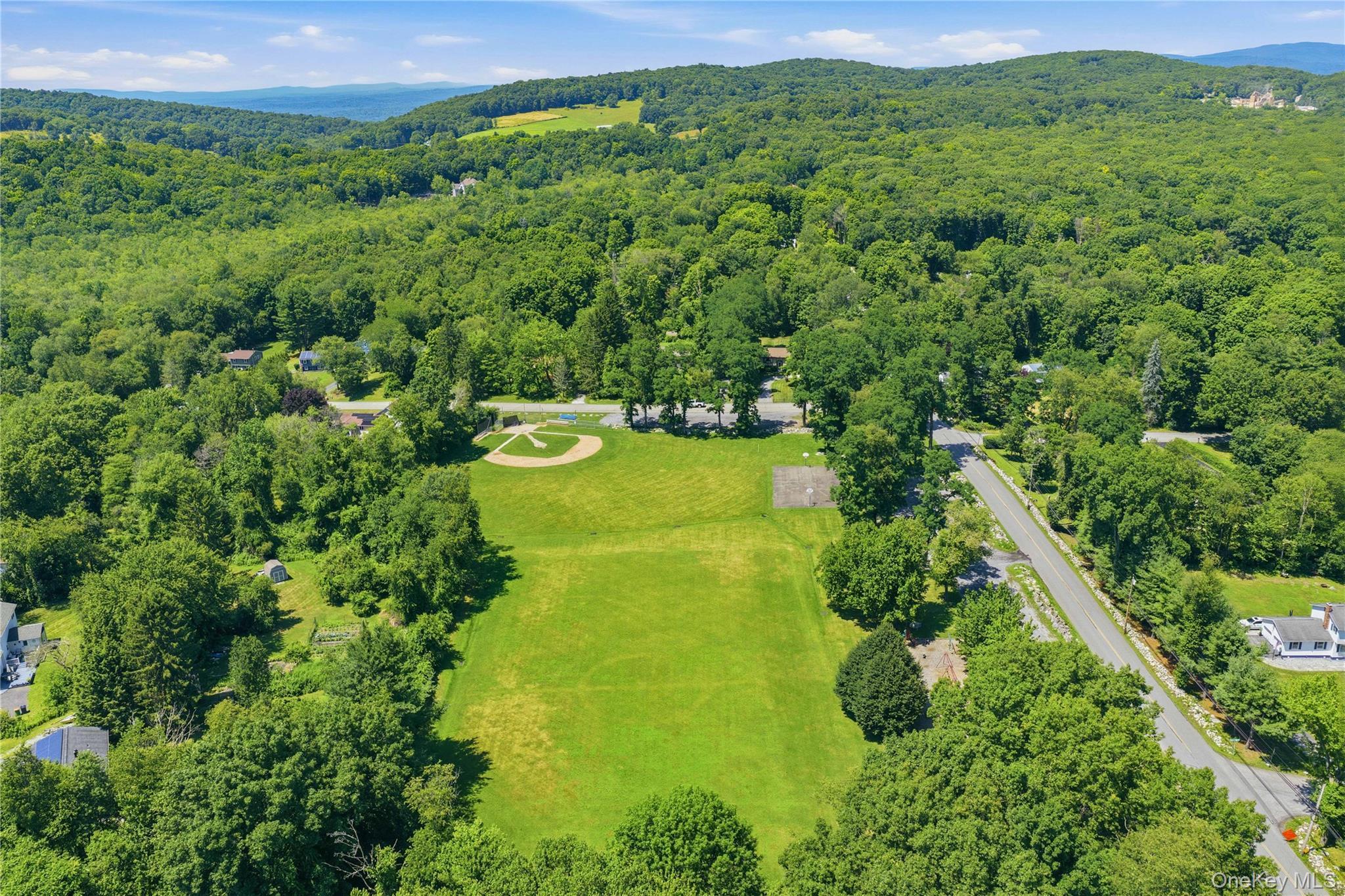 Single Family Nathan Hale Drive Dutchess County, NY 12582, MLS-1021059-35