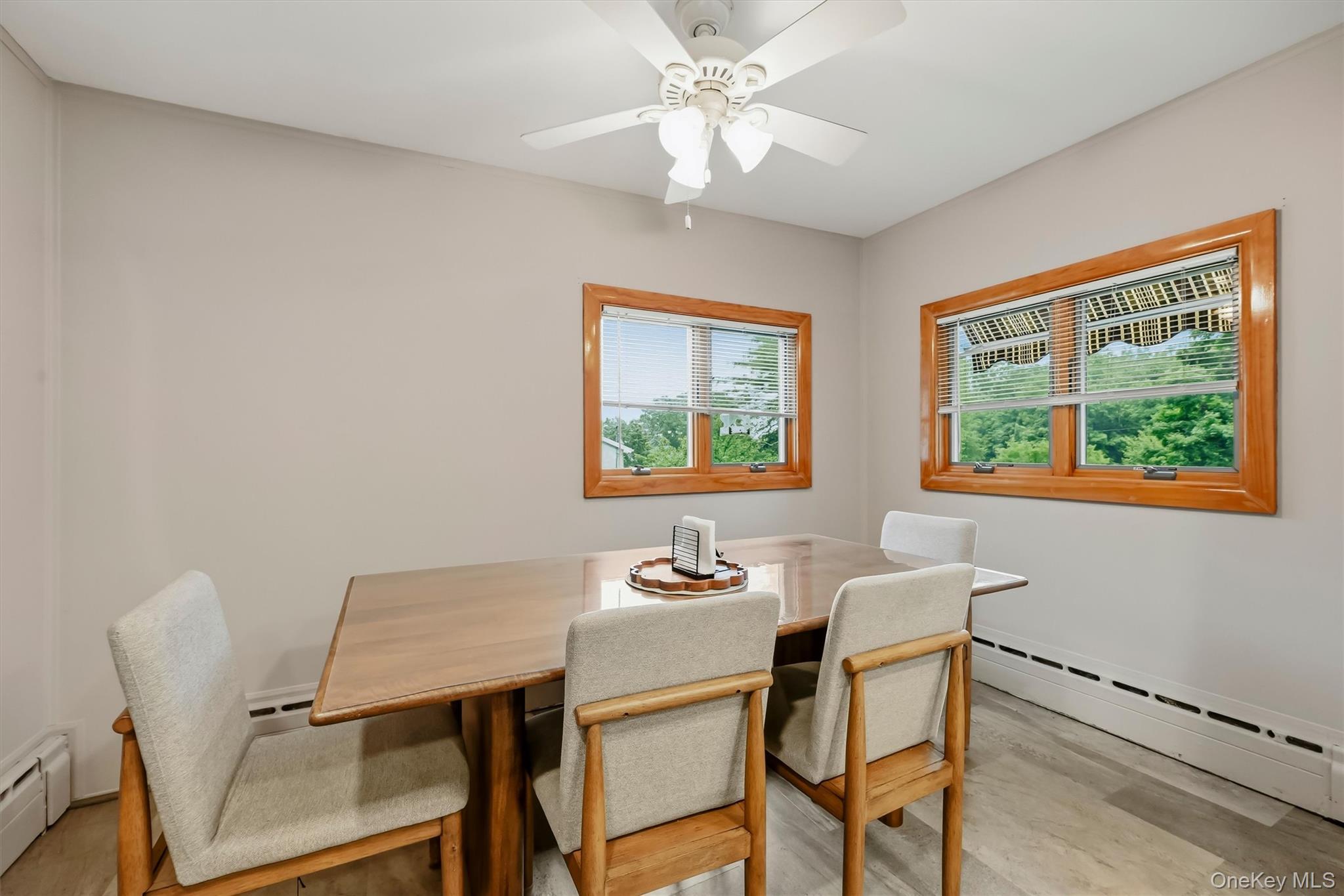 Single Family Maple Avenue Orange County, NY 10924, MLS-1021076-13