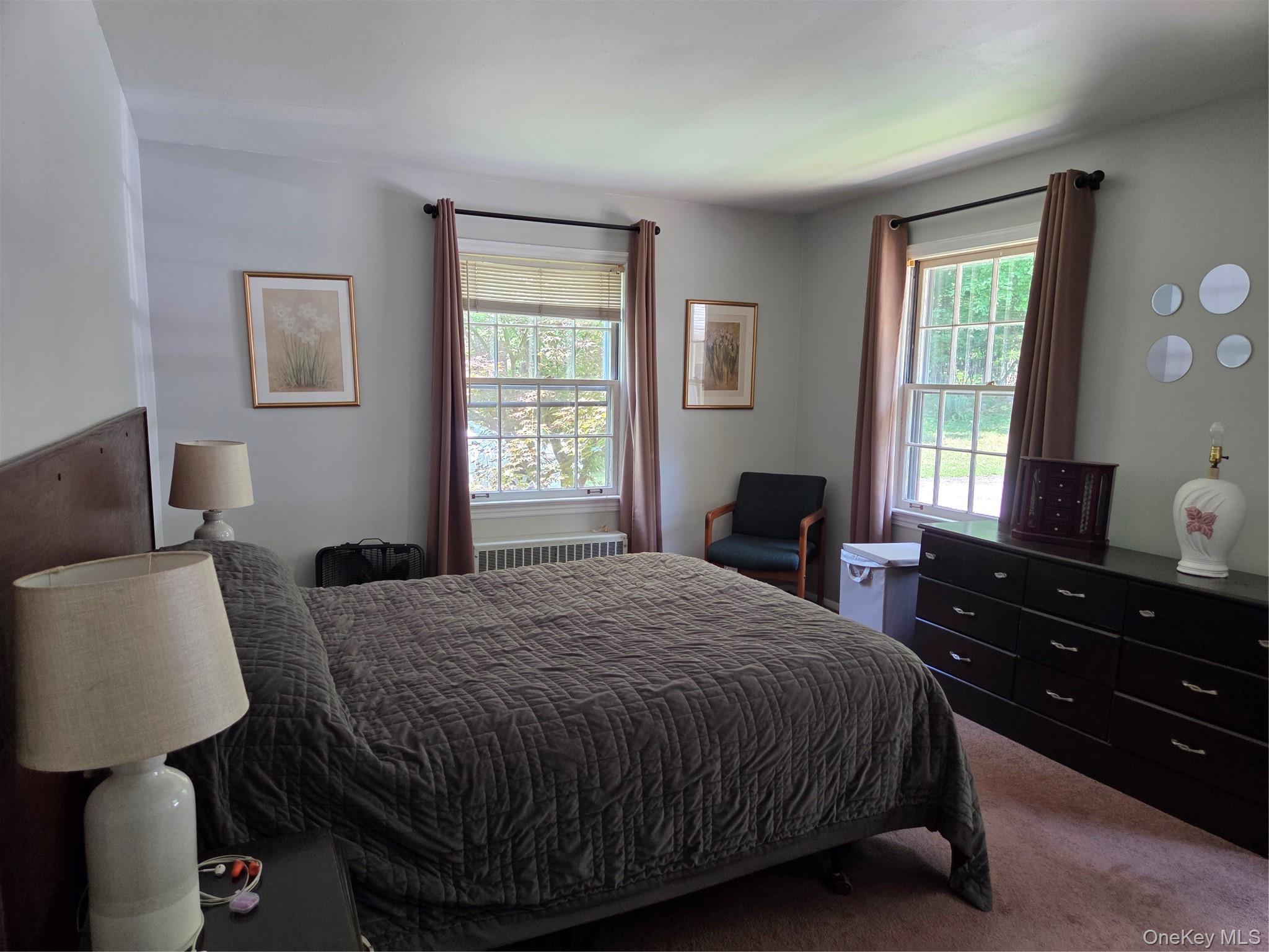 Single Family Coldenham Road  Orange County, NY 12586, MLS-1021123-16