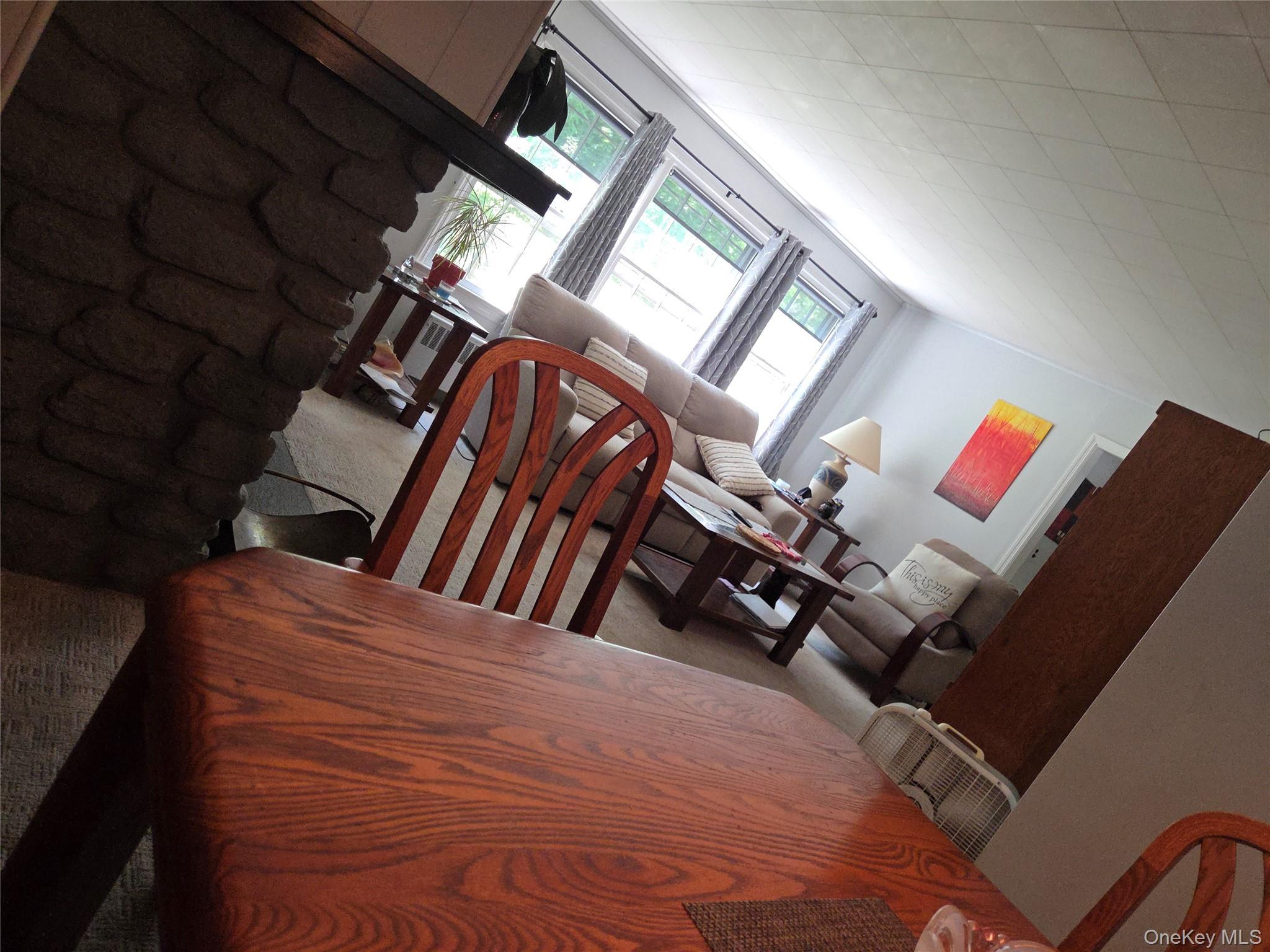 Single Family Coldenham Road  Orange County, NY 12586, MLS-1021123-20