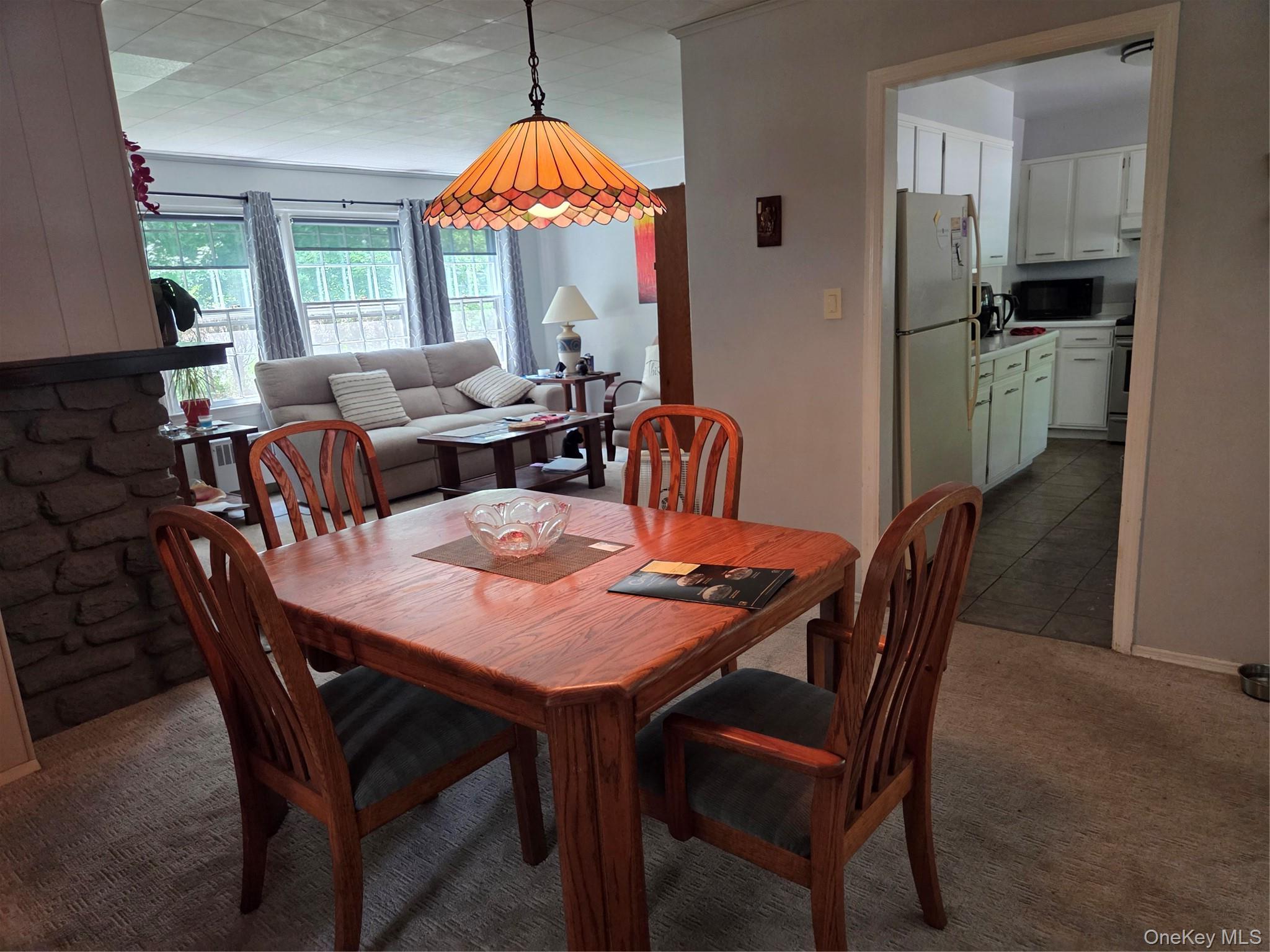 Single Family Coldenham Road  Orange County, NY 12586, MLS-1021123-21