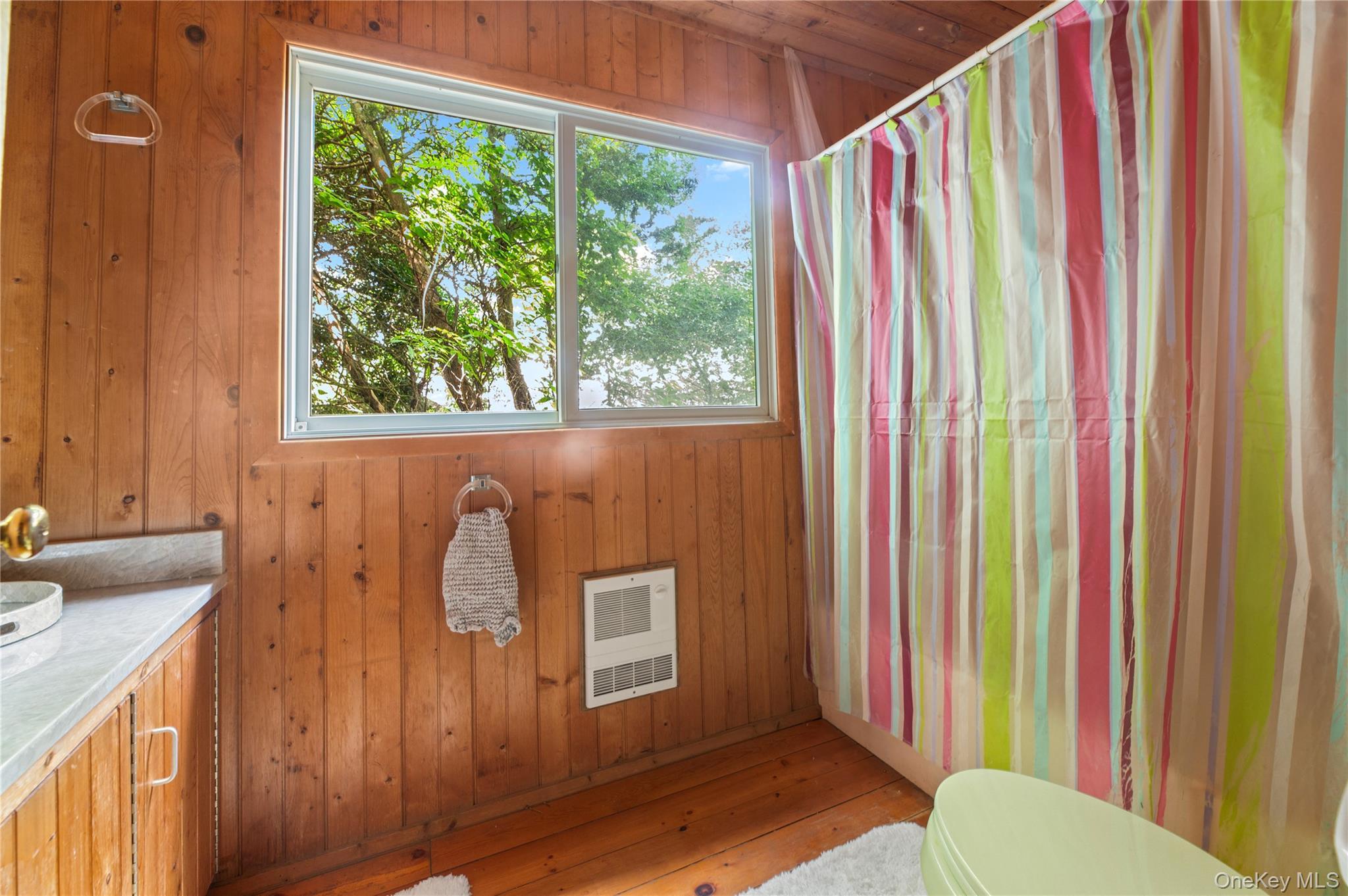 Single Family Ontario Street  Suffolk County, NY 11770, MLS-1021137-17