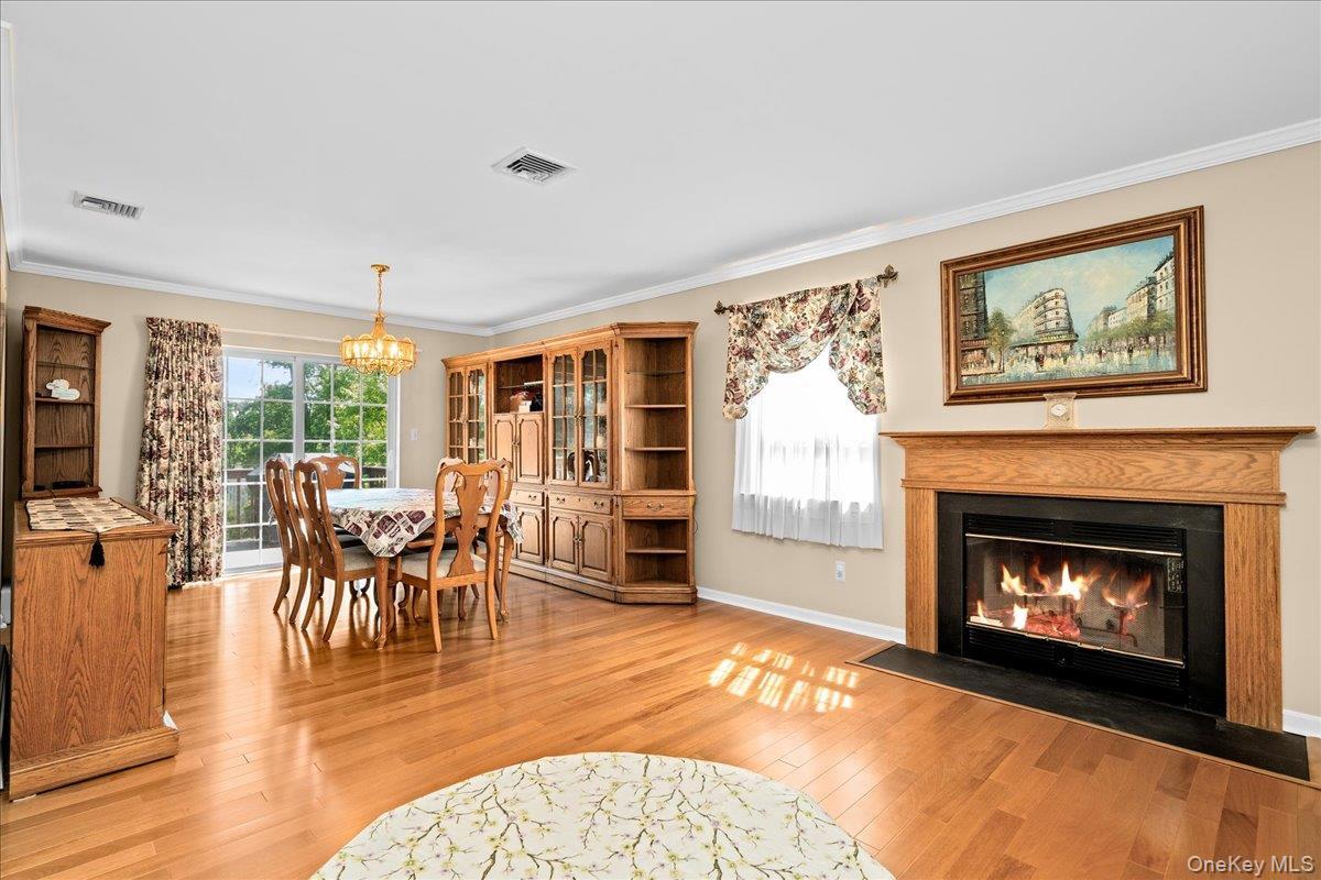 Single Family Highland Avenue Orange County, NY 10950, MLS-1021151-9