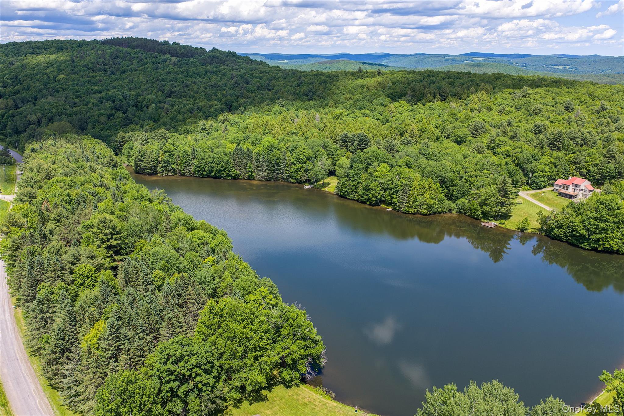 Single Family Sparrowhawk Lake Road Out Of Area, NY 12155, MLS-1021177-4
